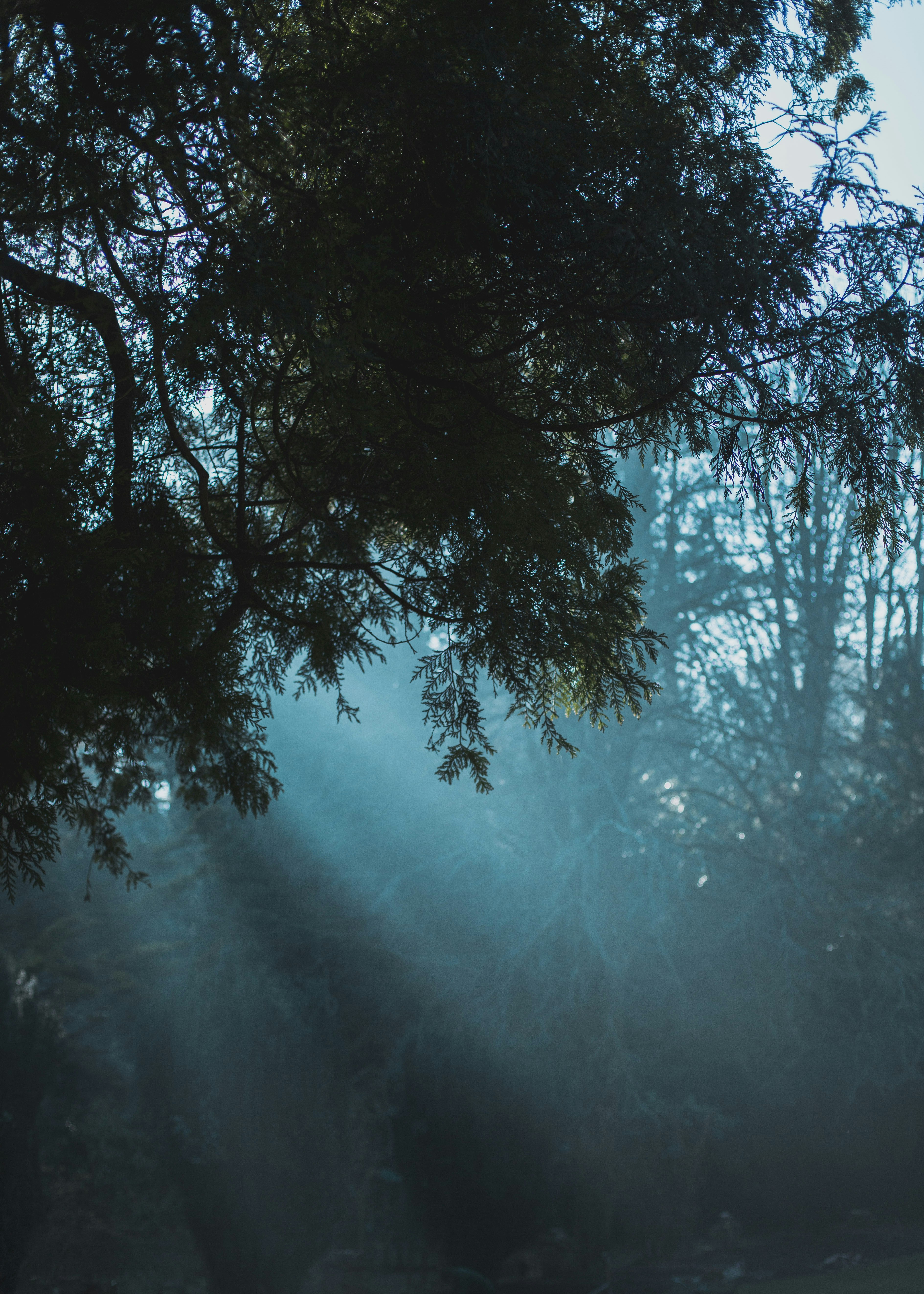 Photo by clarke_designs_photography