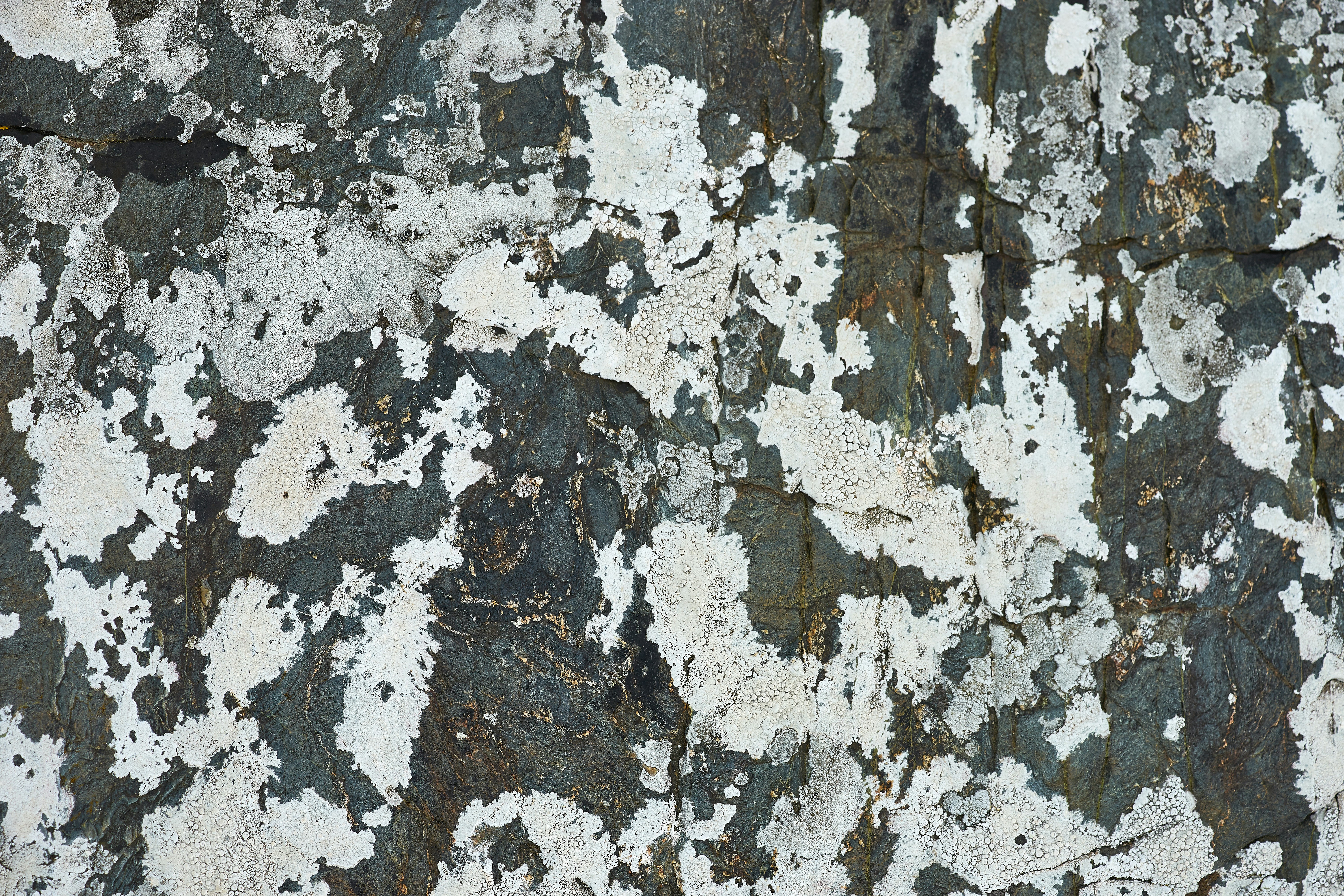 zinc mineral wallpaper, wallpaper, Zinc Sulfate Monohidrat: Manfaat, Dosis, dan Efek Samping 3