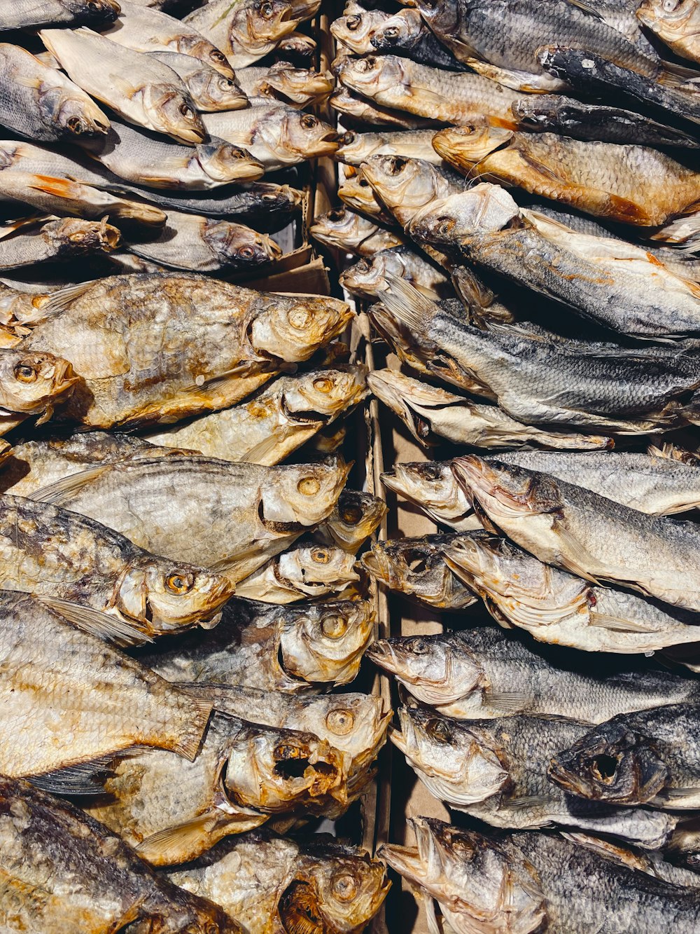 dried fish