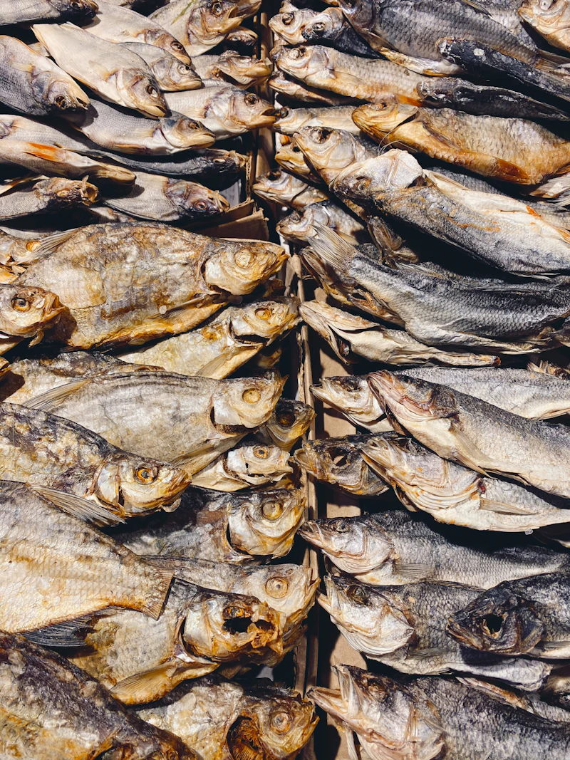 Dried Fish
