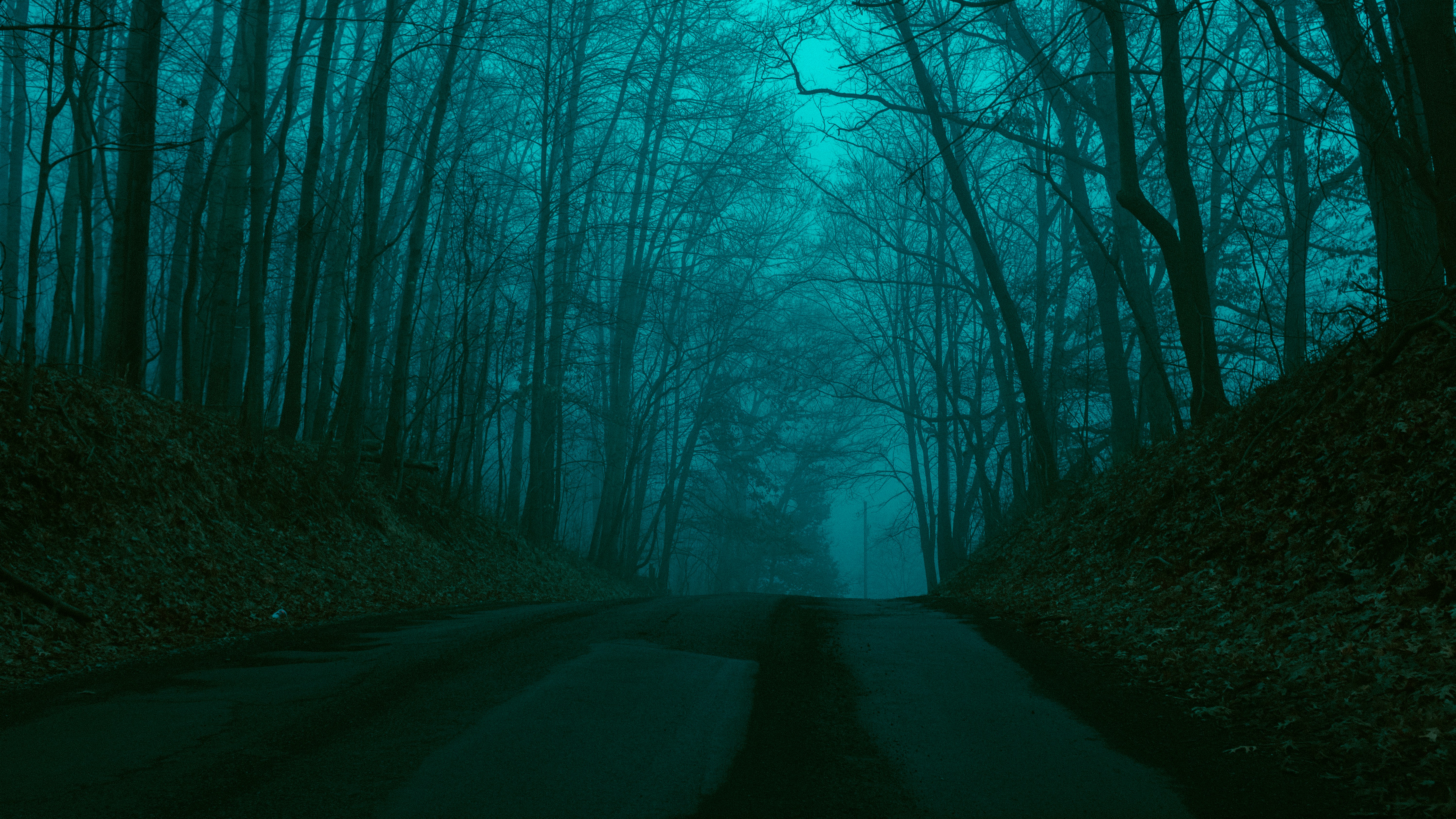 Photo by henmankk