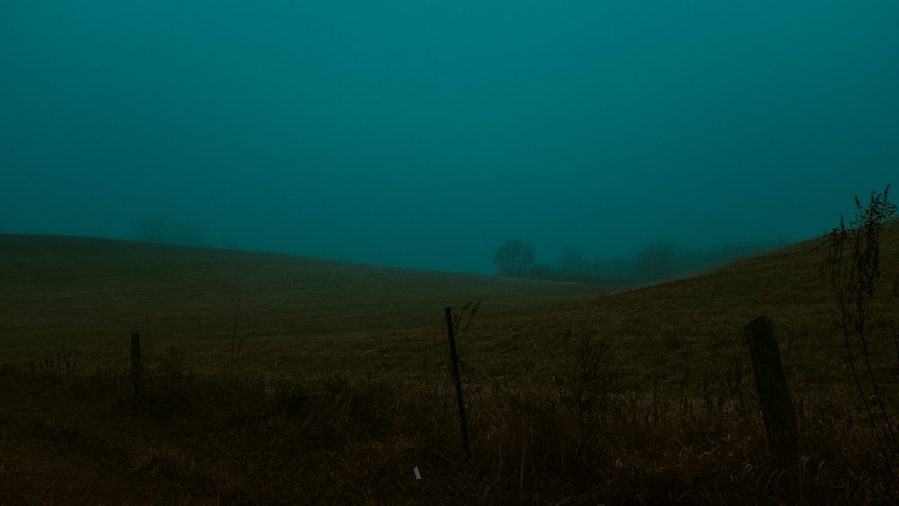 fotografia di paesaggio del campo verde in una giornata nebbiosa