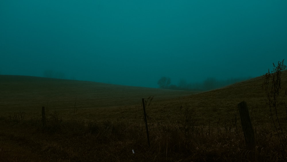 landscape photography of green field in foggy day