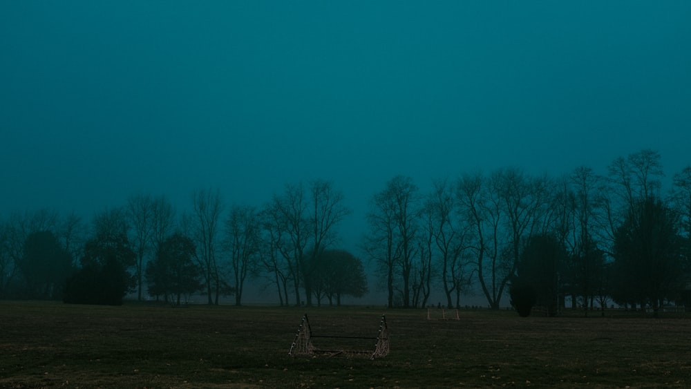 empty grass field by treeline during foggy weather