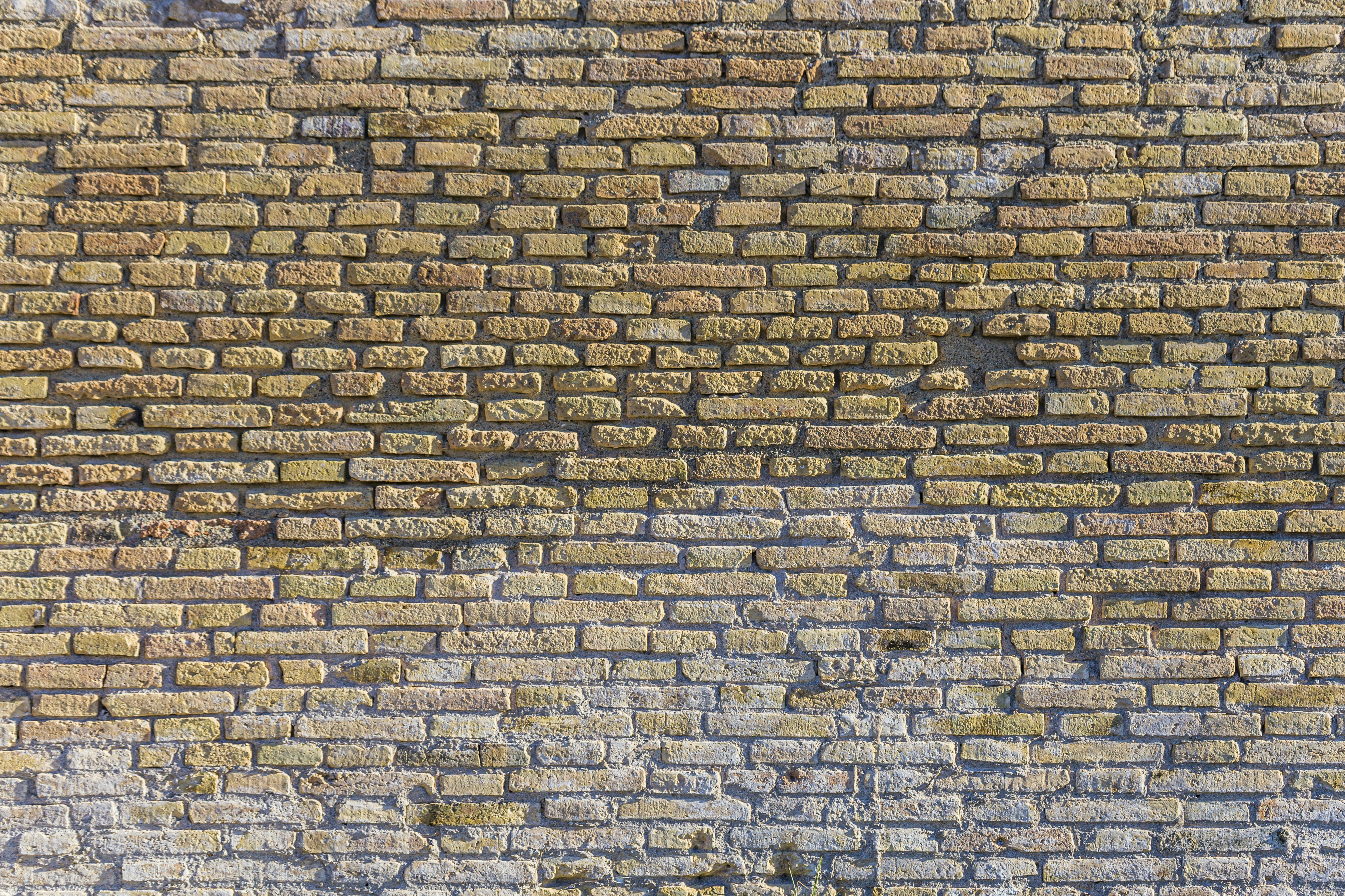 Photo by isaacquesada