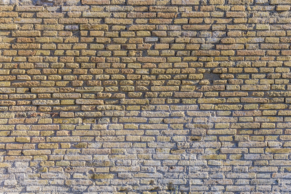 brown bricked wall