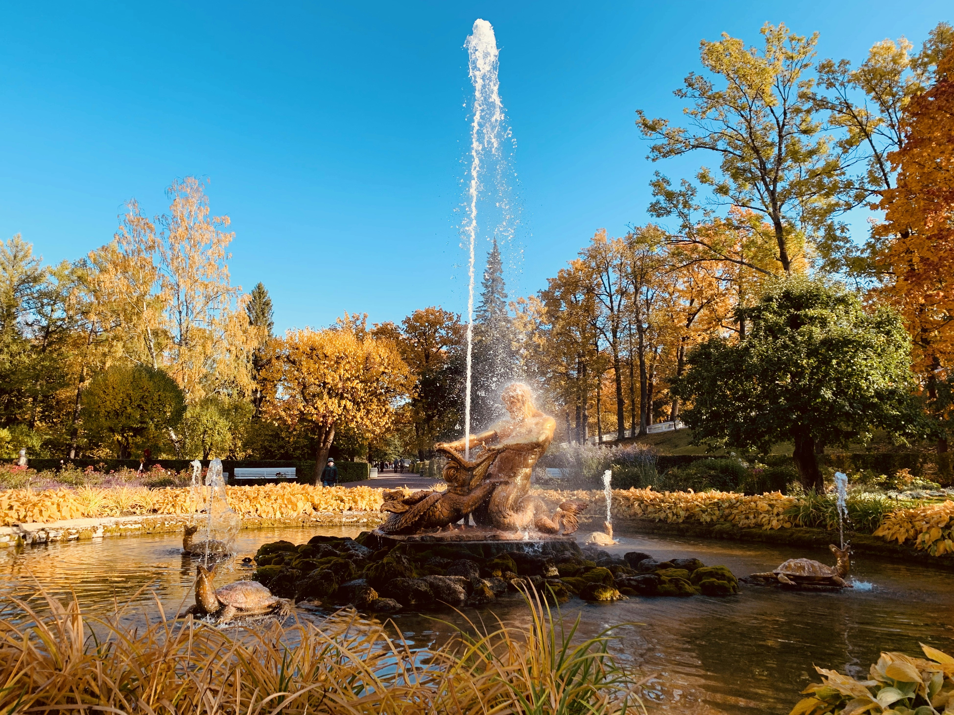 Photo by dariapopova