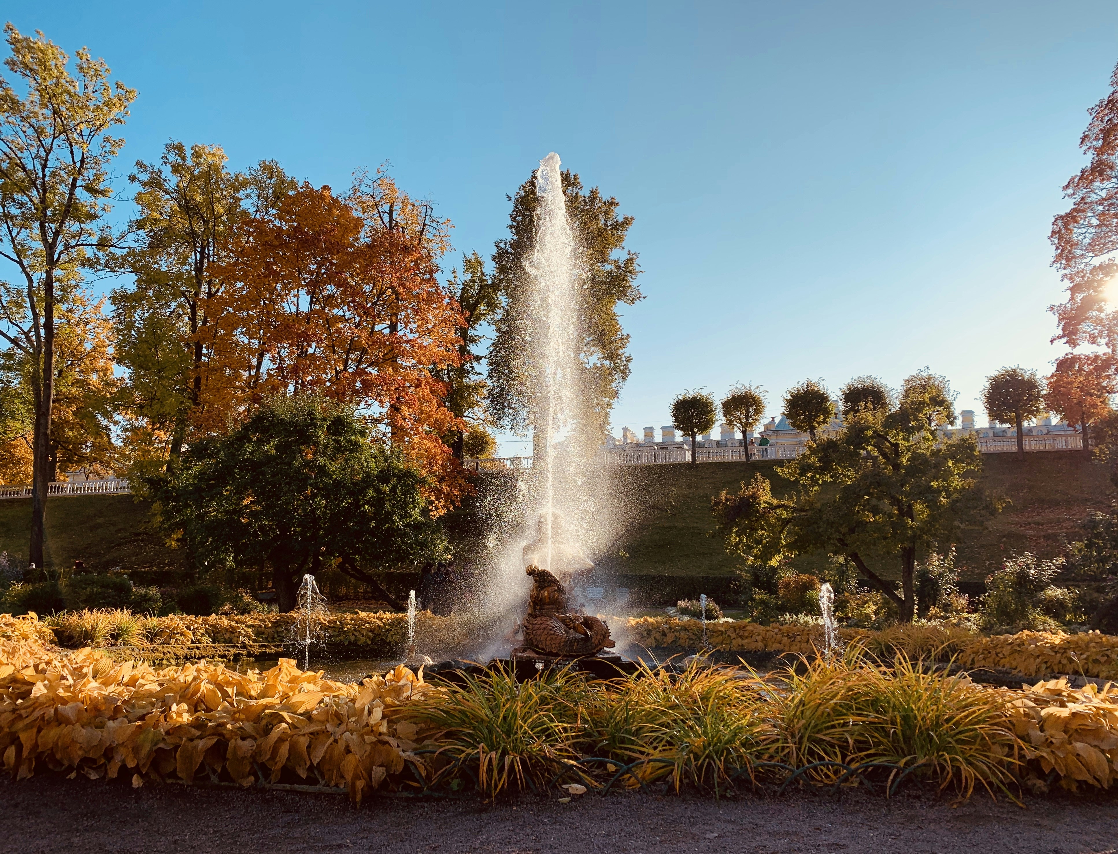 Photo by dariapopova