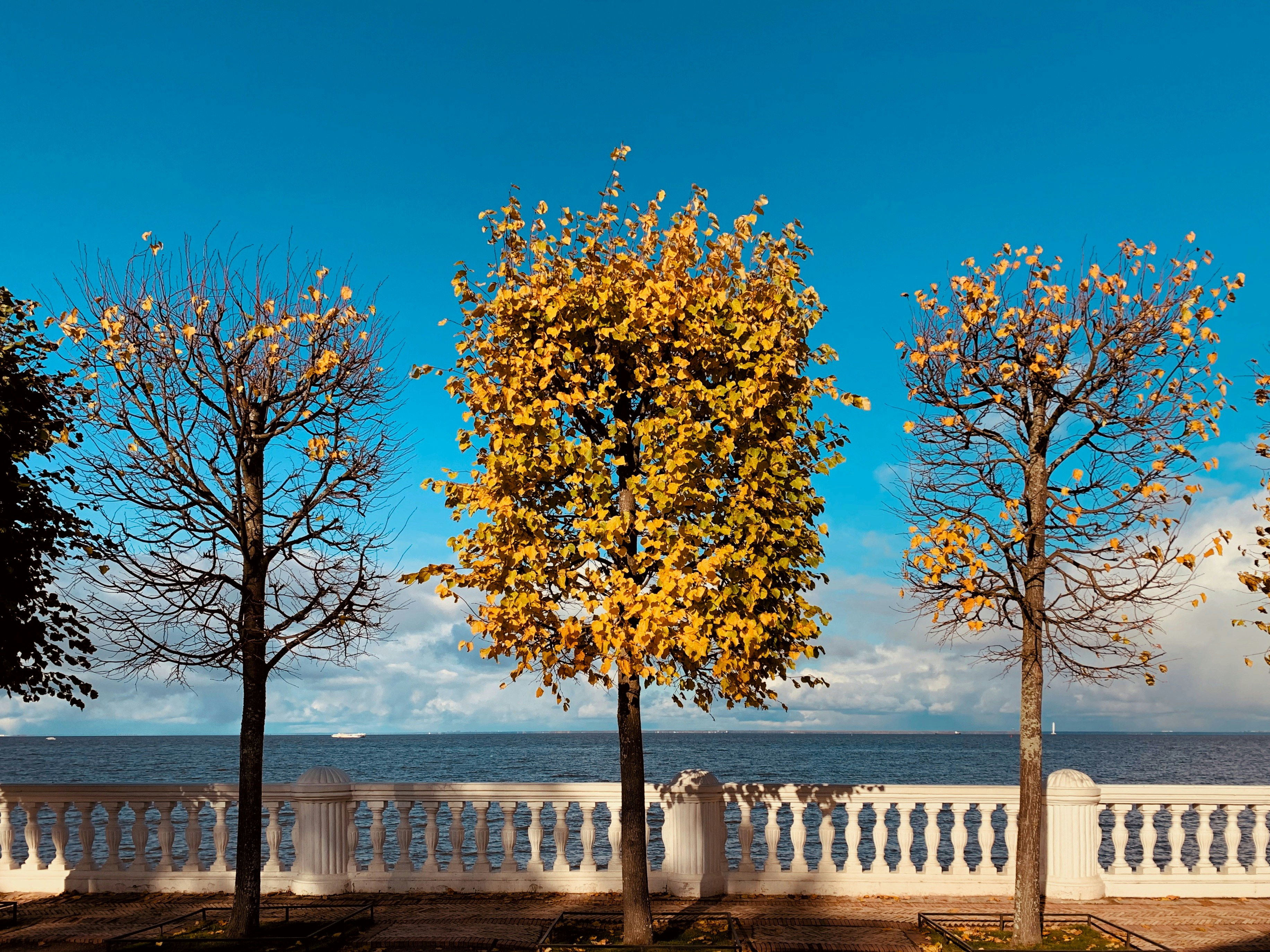 Photo by dariapopova