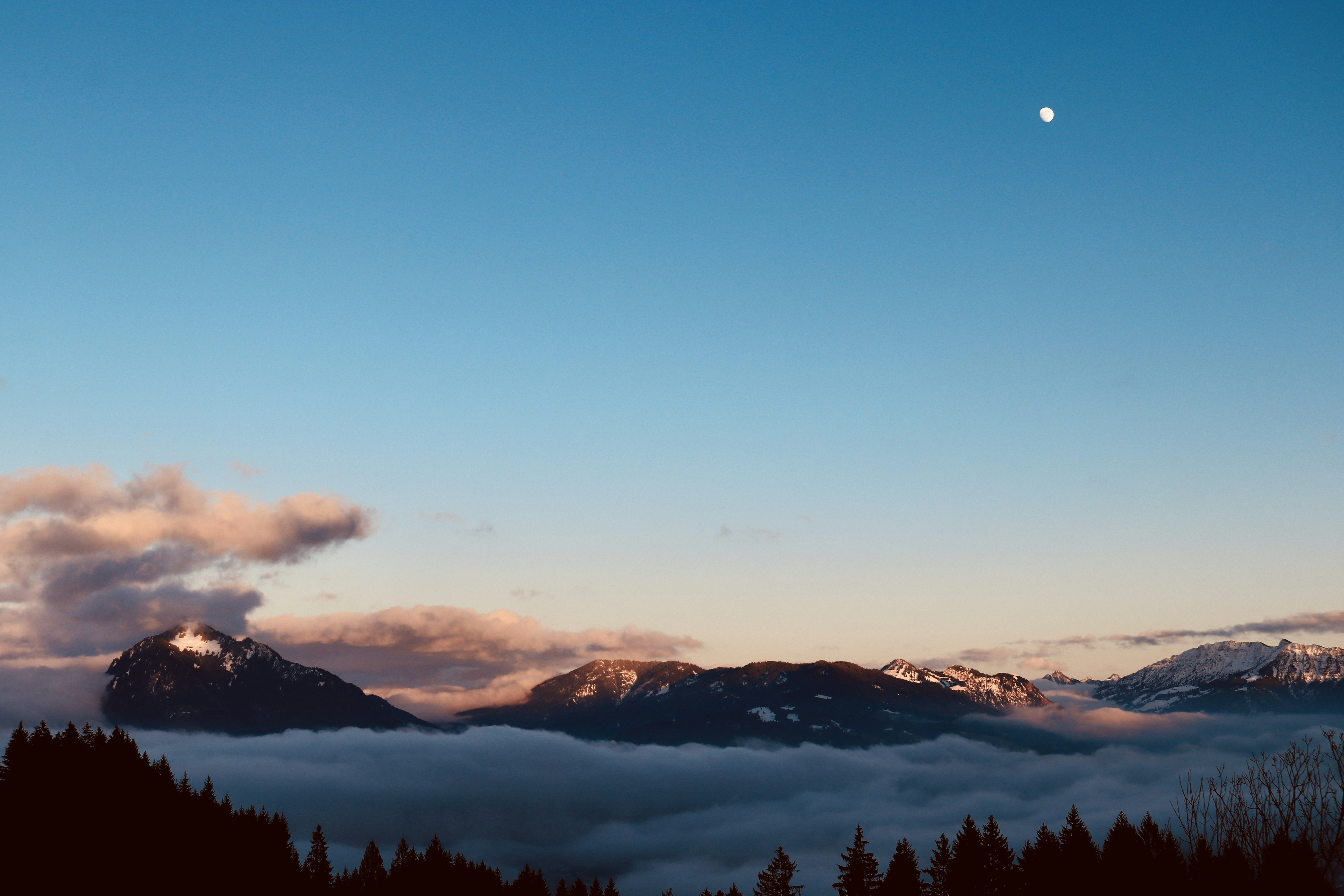 Photo by clemensvanlay