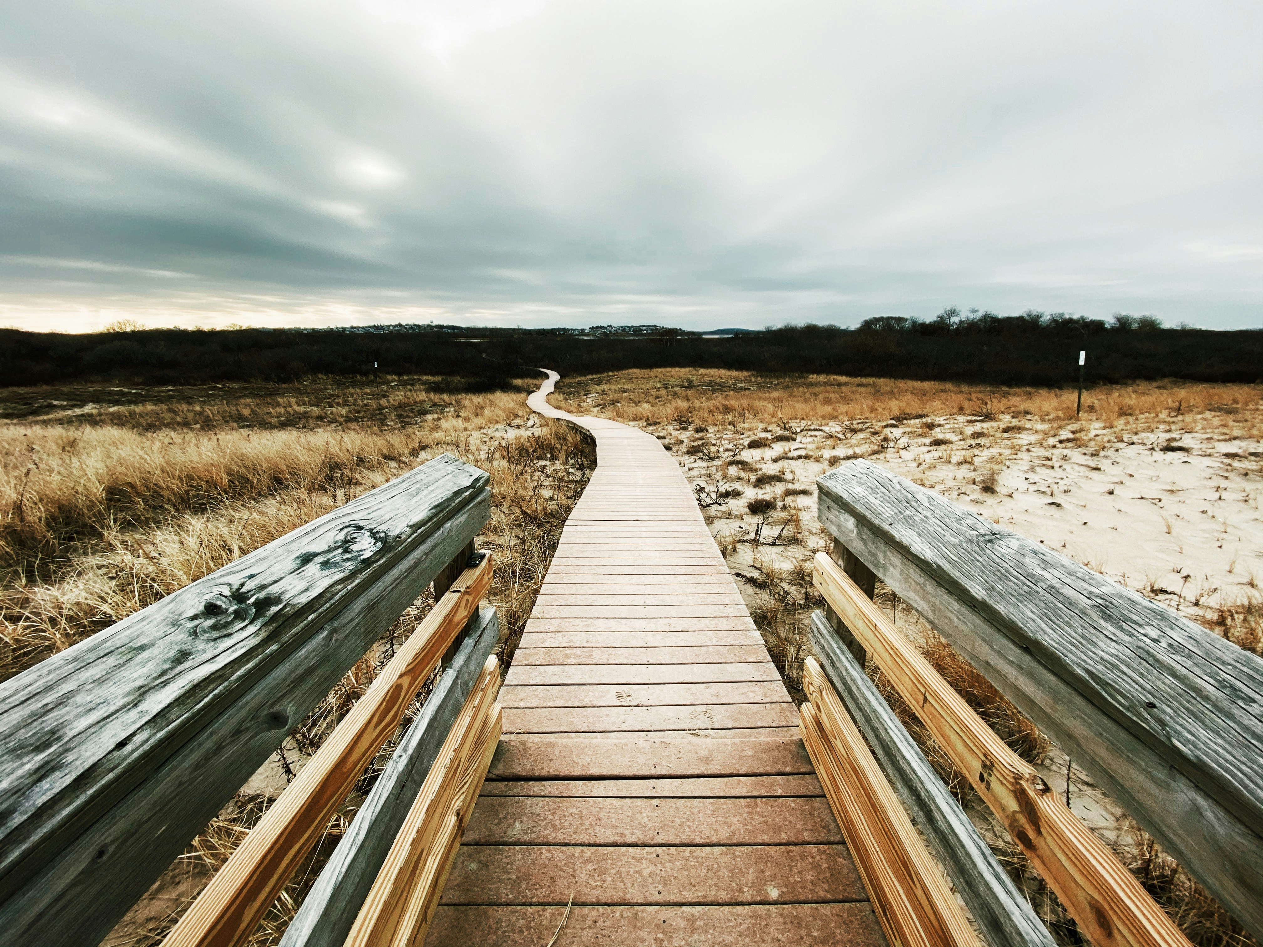 Photo by thepiesflies