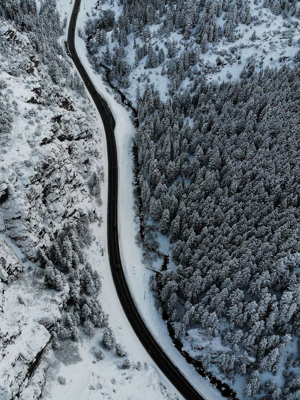 aerial photography of field and trees covered with snow