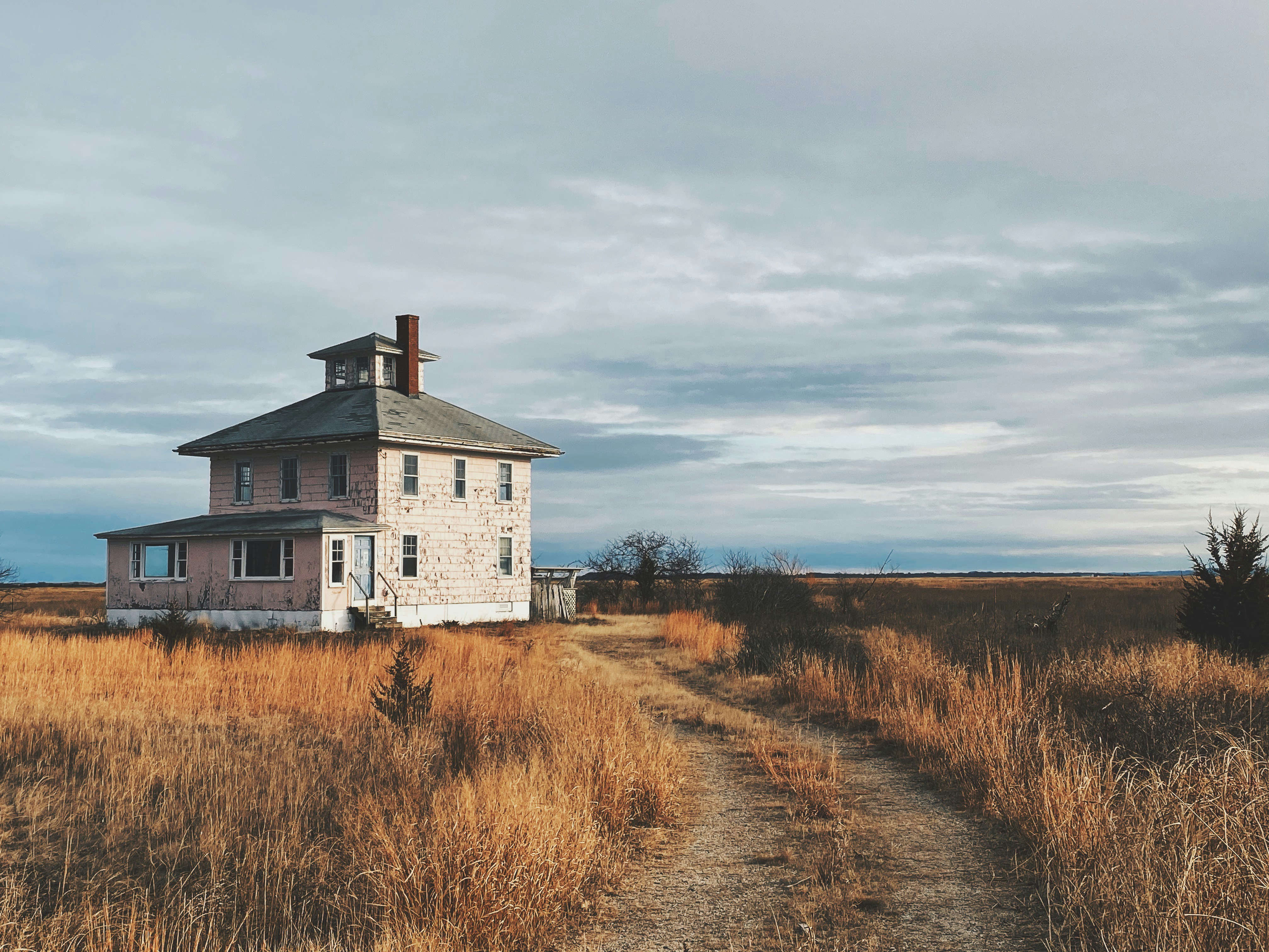 Photo by thepiesflies