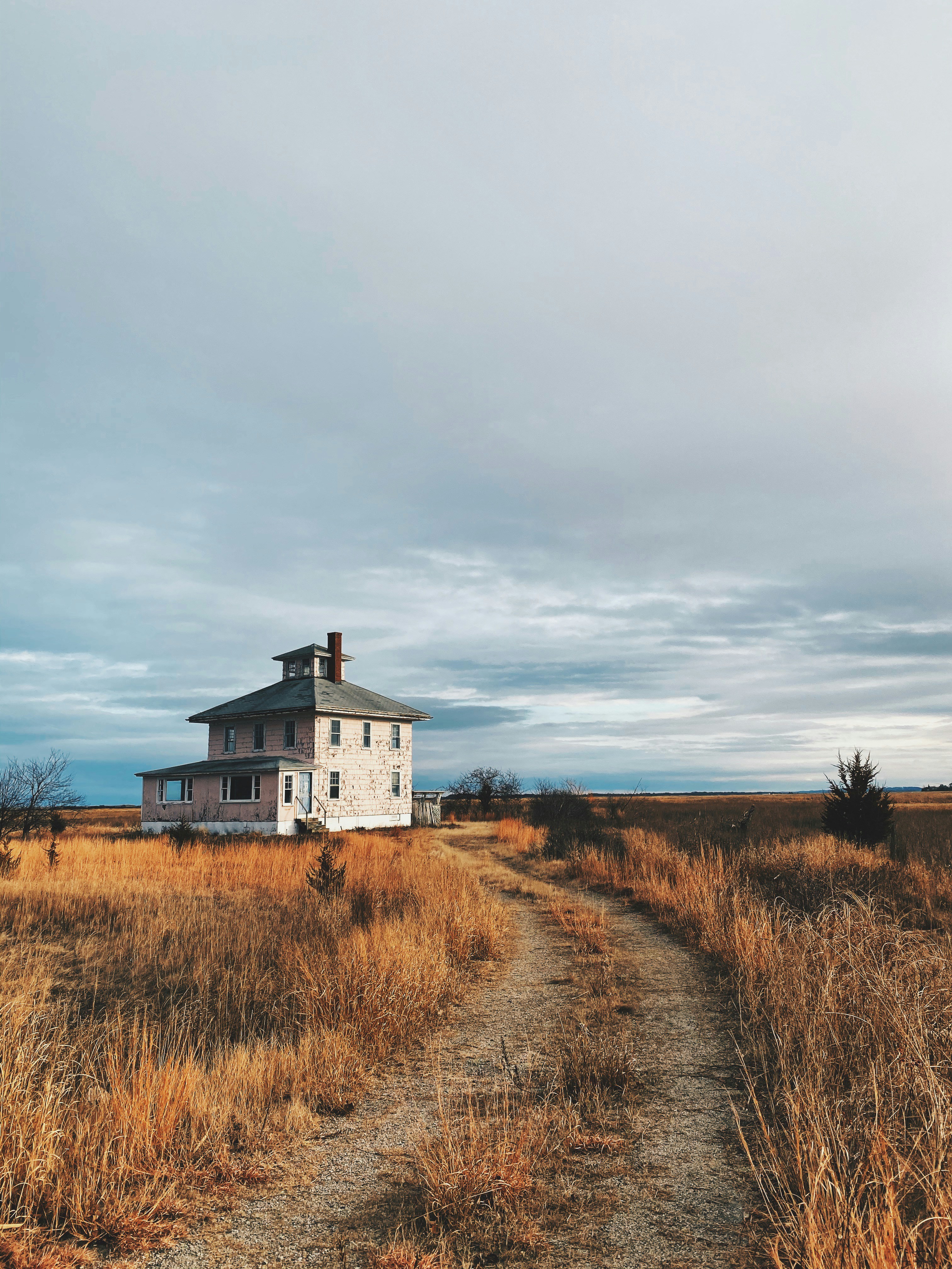 Photo by thepiesflies