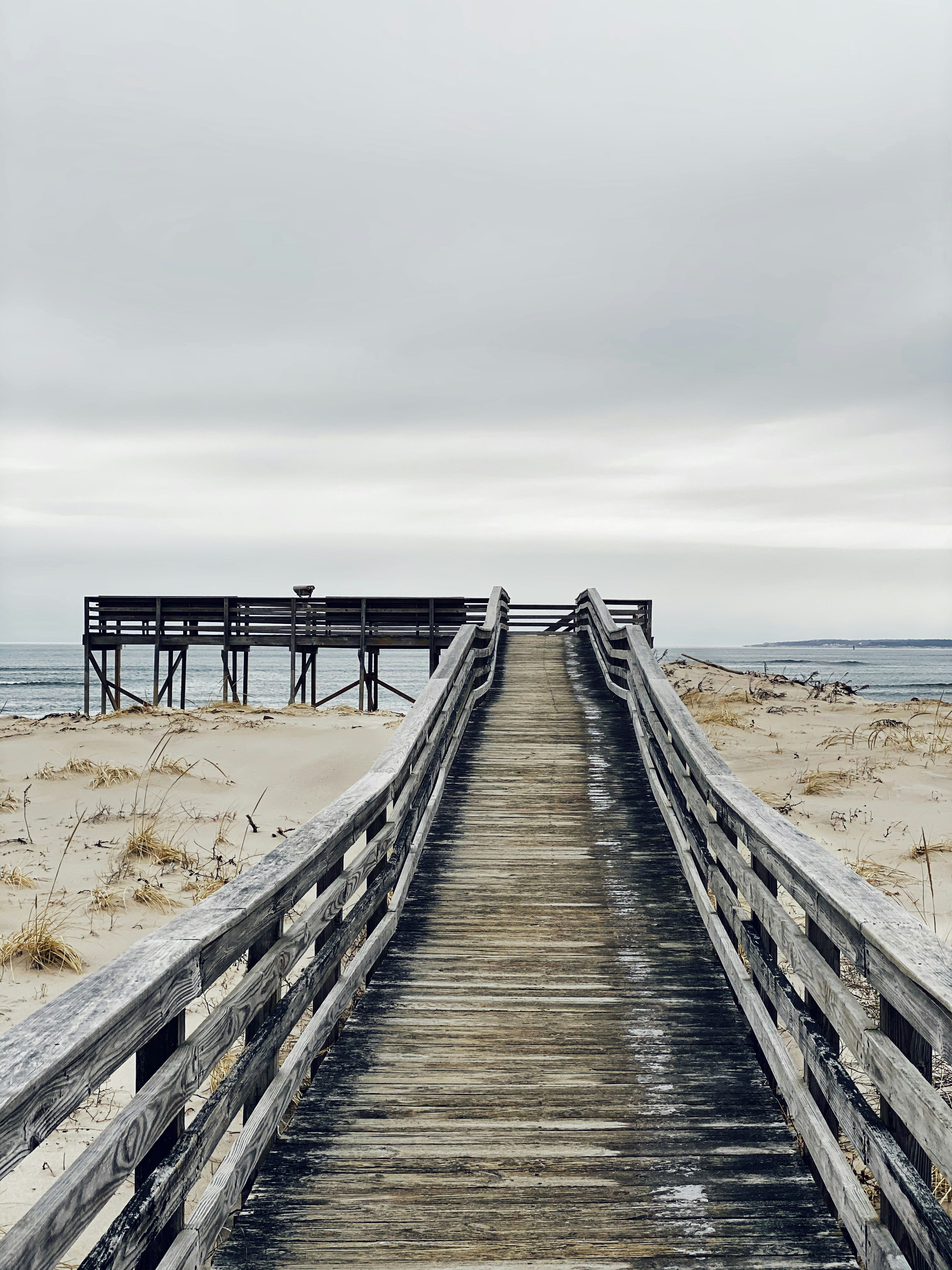 Photo by thepiesflies