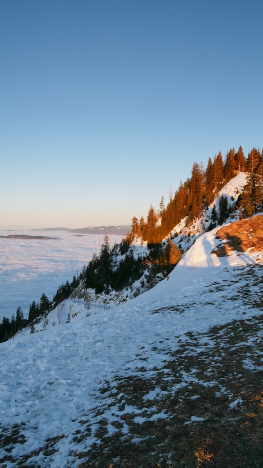 snow capped mountain during daytime in Thollon-les-Mémises France