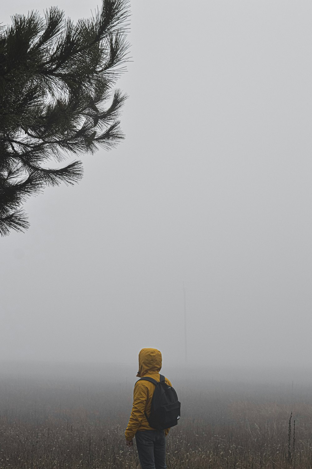 person standing in front of tree