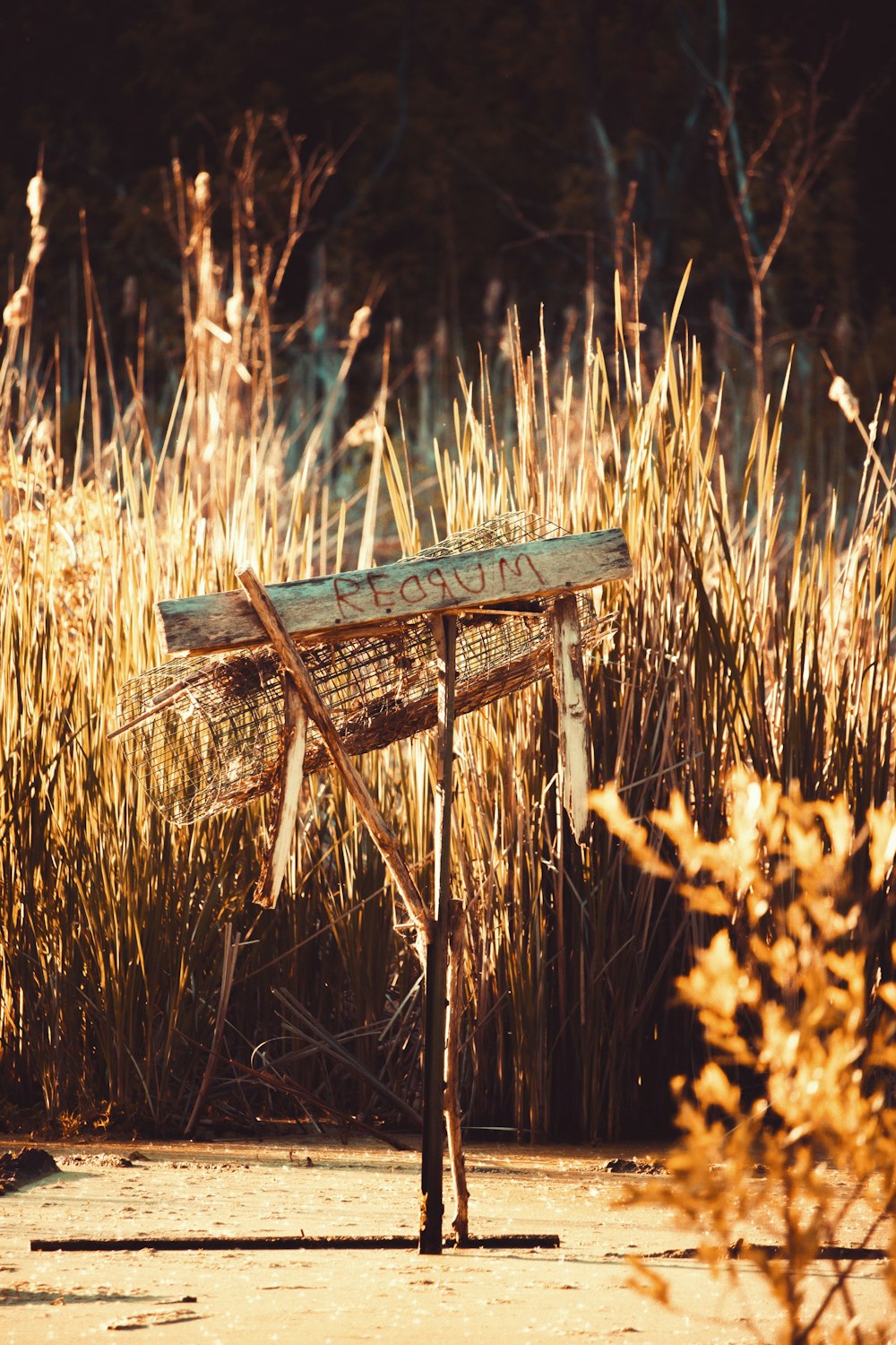 brown wooden sign beside plants during daytime