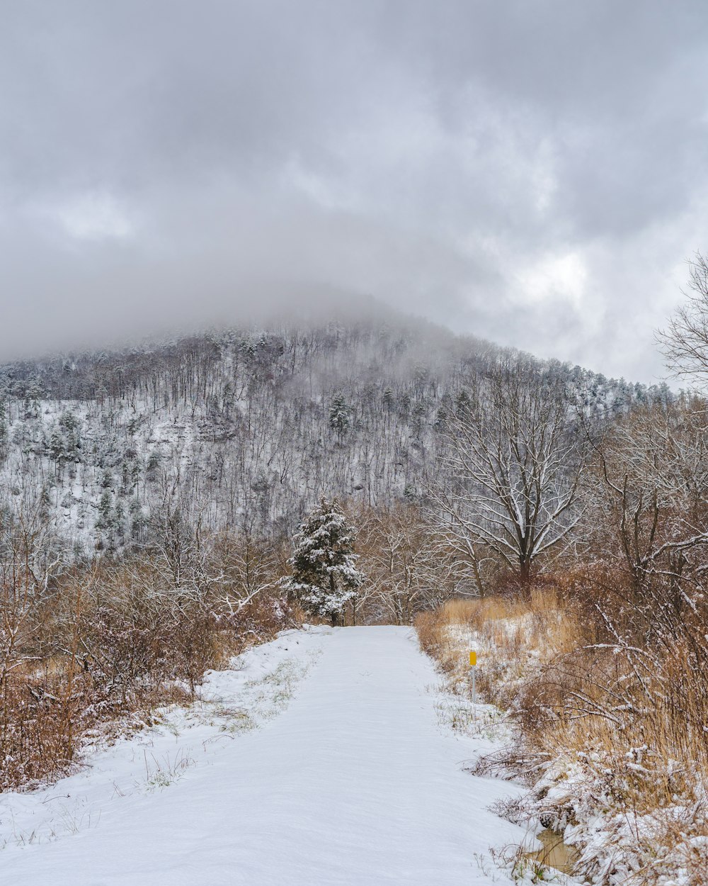 road, field, and mountain covered with snow under white sky