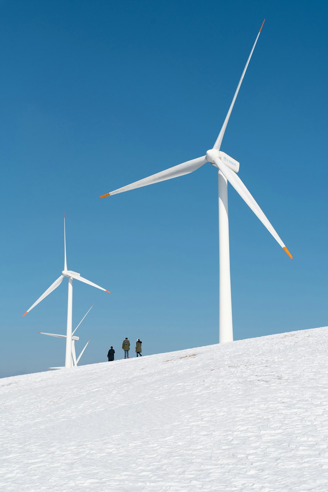 people standing near wind turbines during daytime