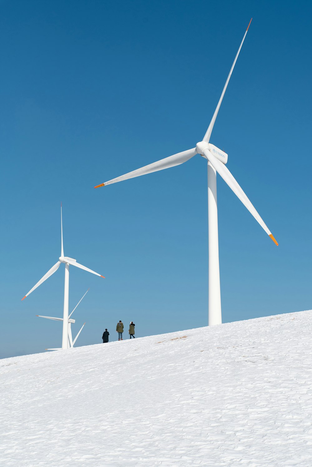 personnes debout près d’éoliennes pendant la journée