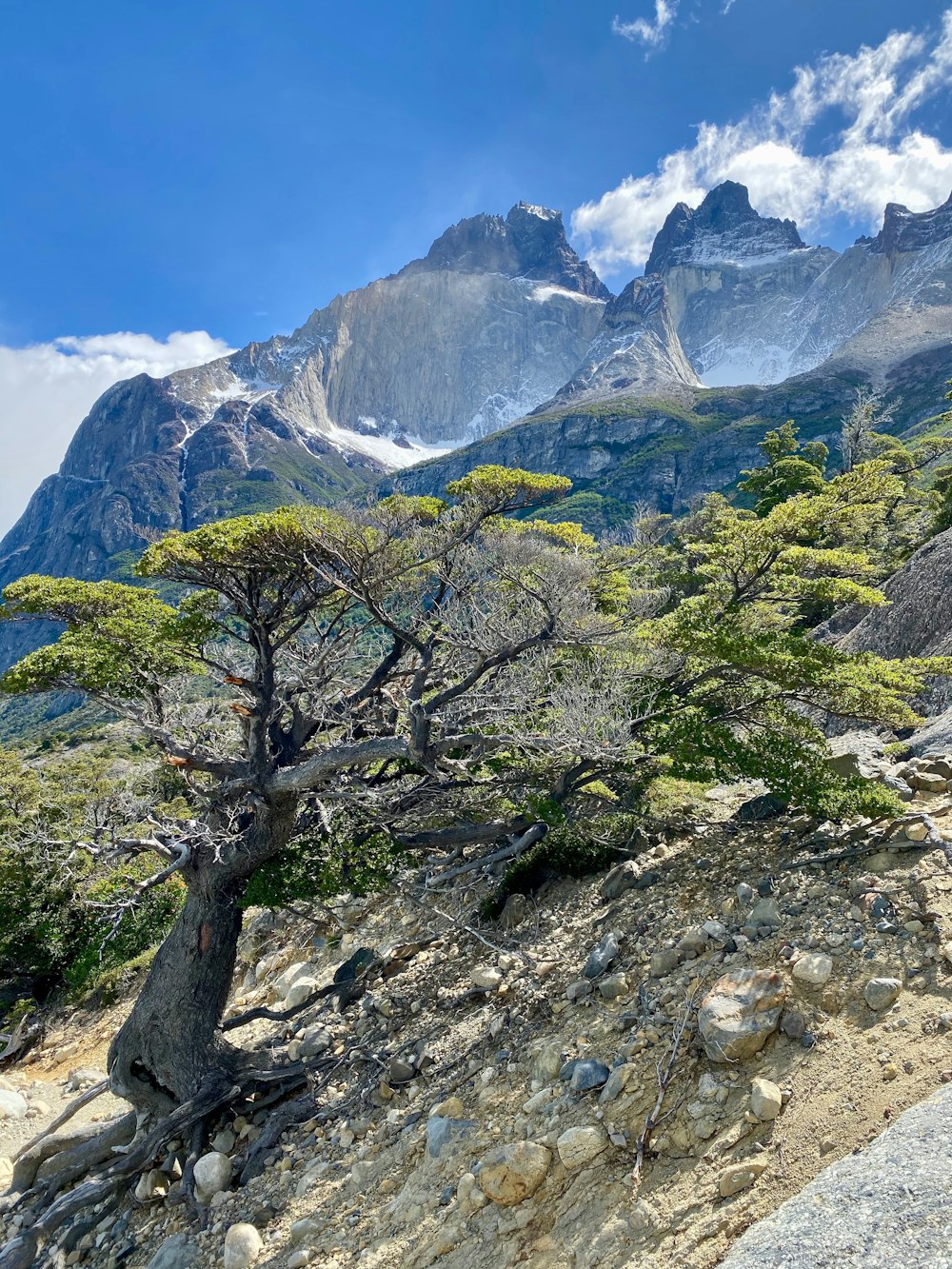 landscape photography of green field viewing summit of mountain under white and blue sky