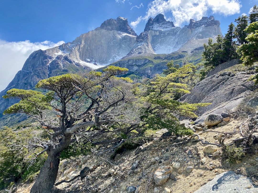 Nature reserve photo spot Torres del Paine Parque Nacional Torres del Paine