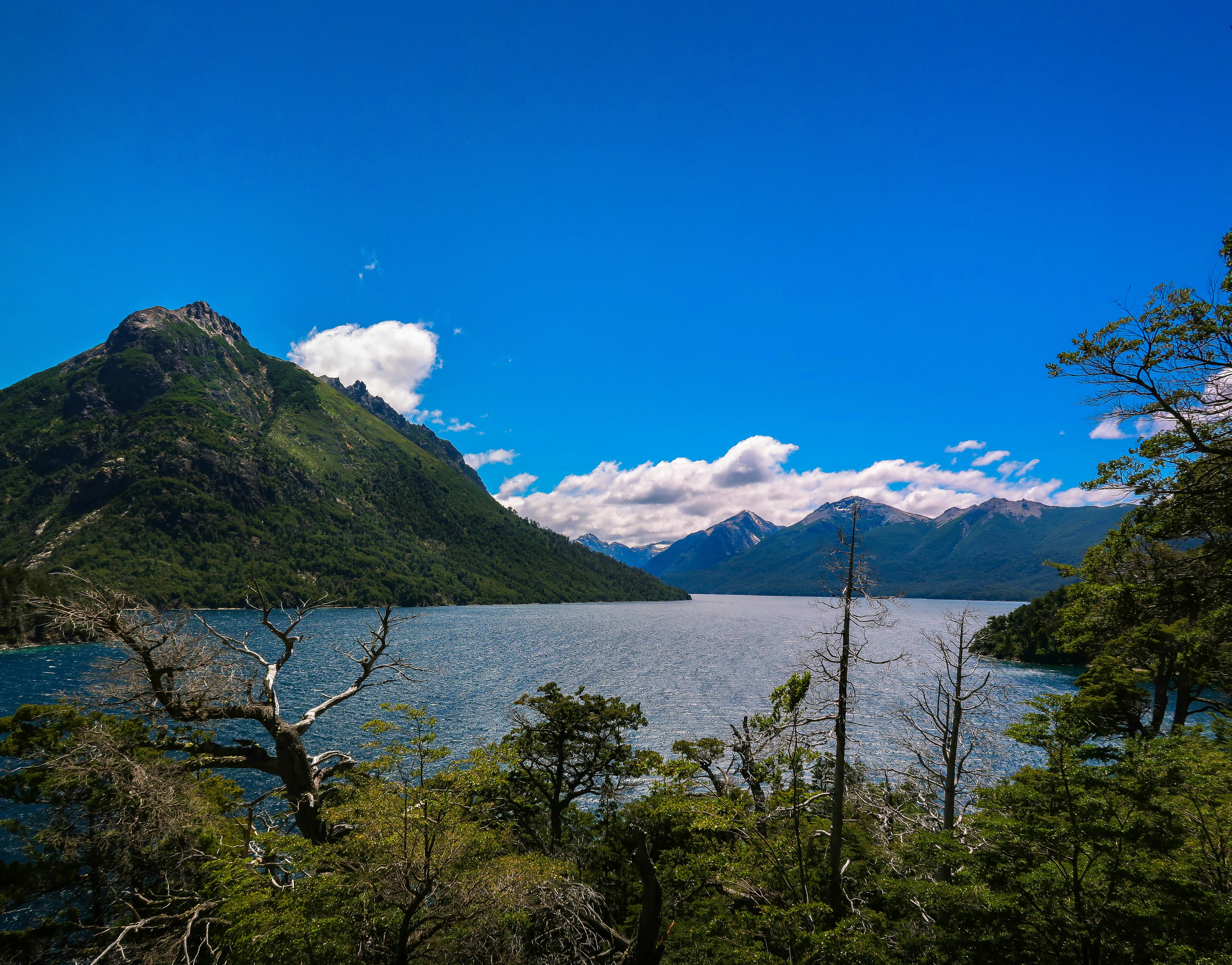 Photo by argentinanatural