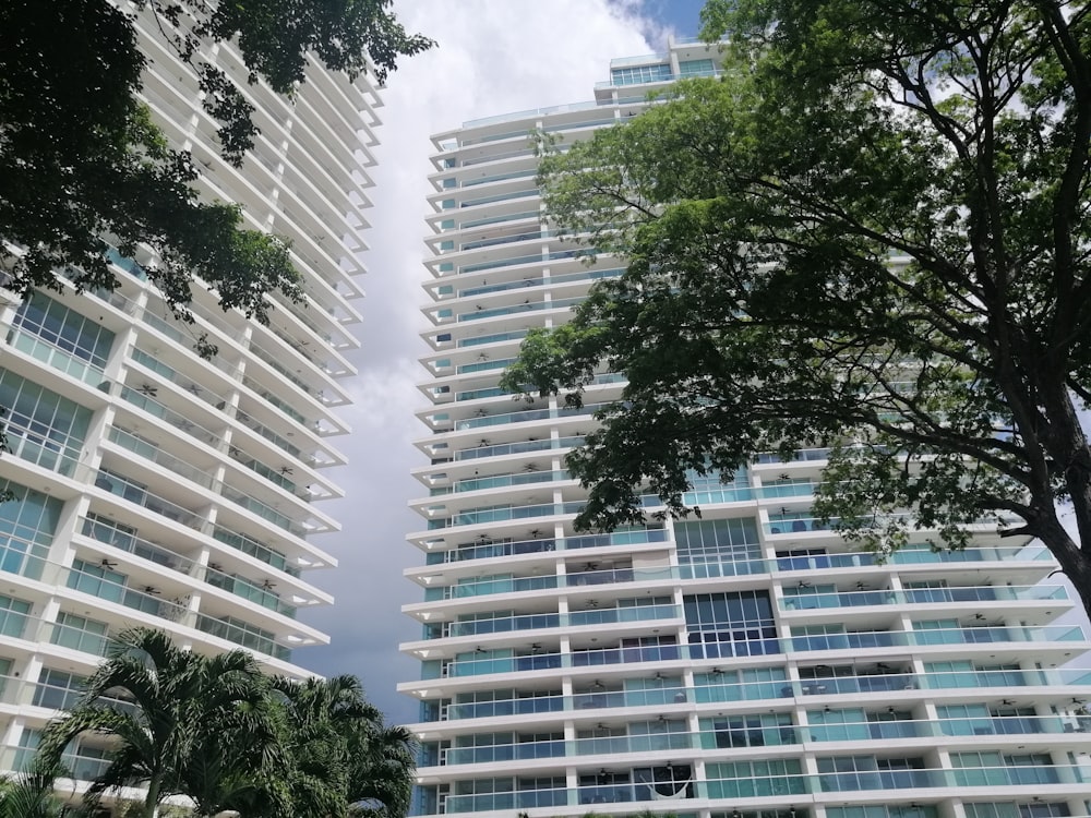 low-angle photography of white and green high-rise buildings near green trees under white and blue sky