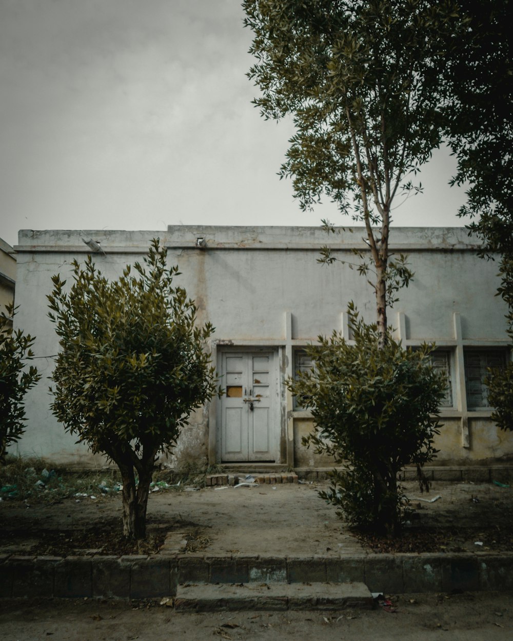 green trees in front of white building