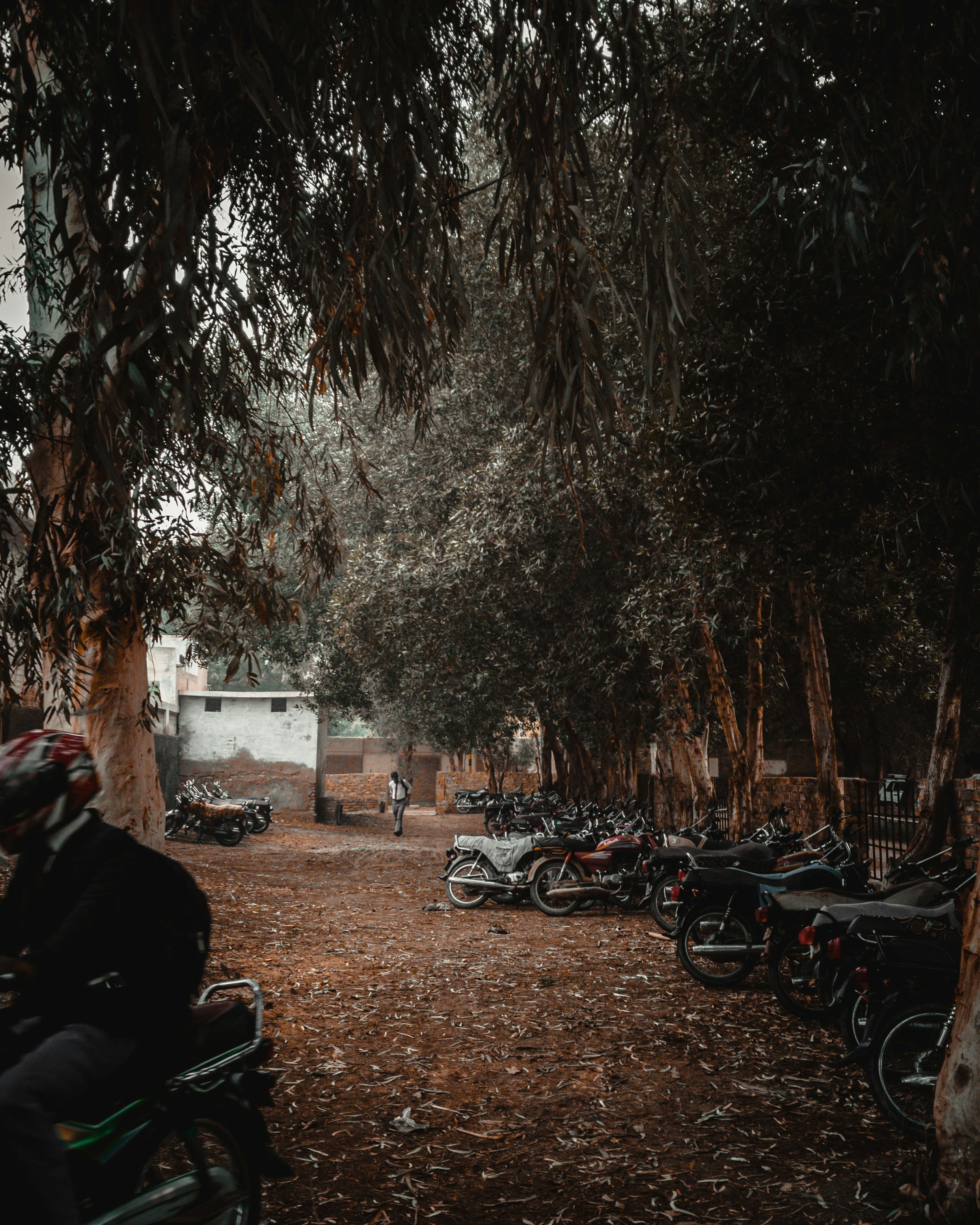 Photo by shessafridi