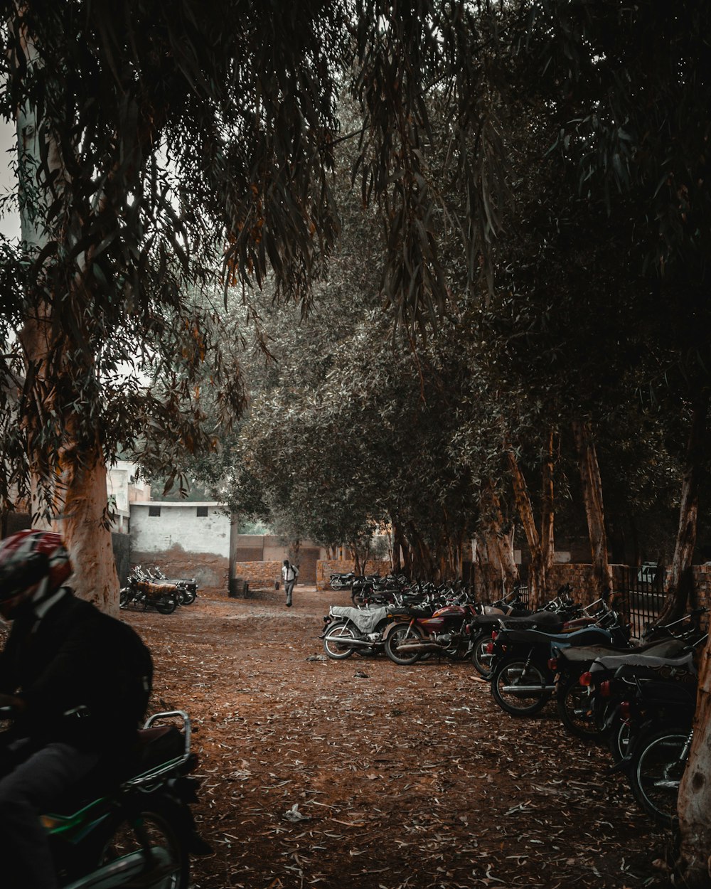 assorted-colored motorcycles parking near gate surrounded with green trees