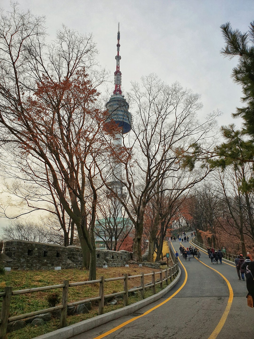 Namsan Tower - From Namsan Mountain Park, South Korea