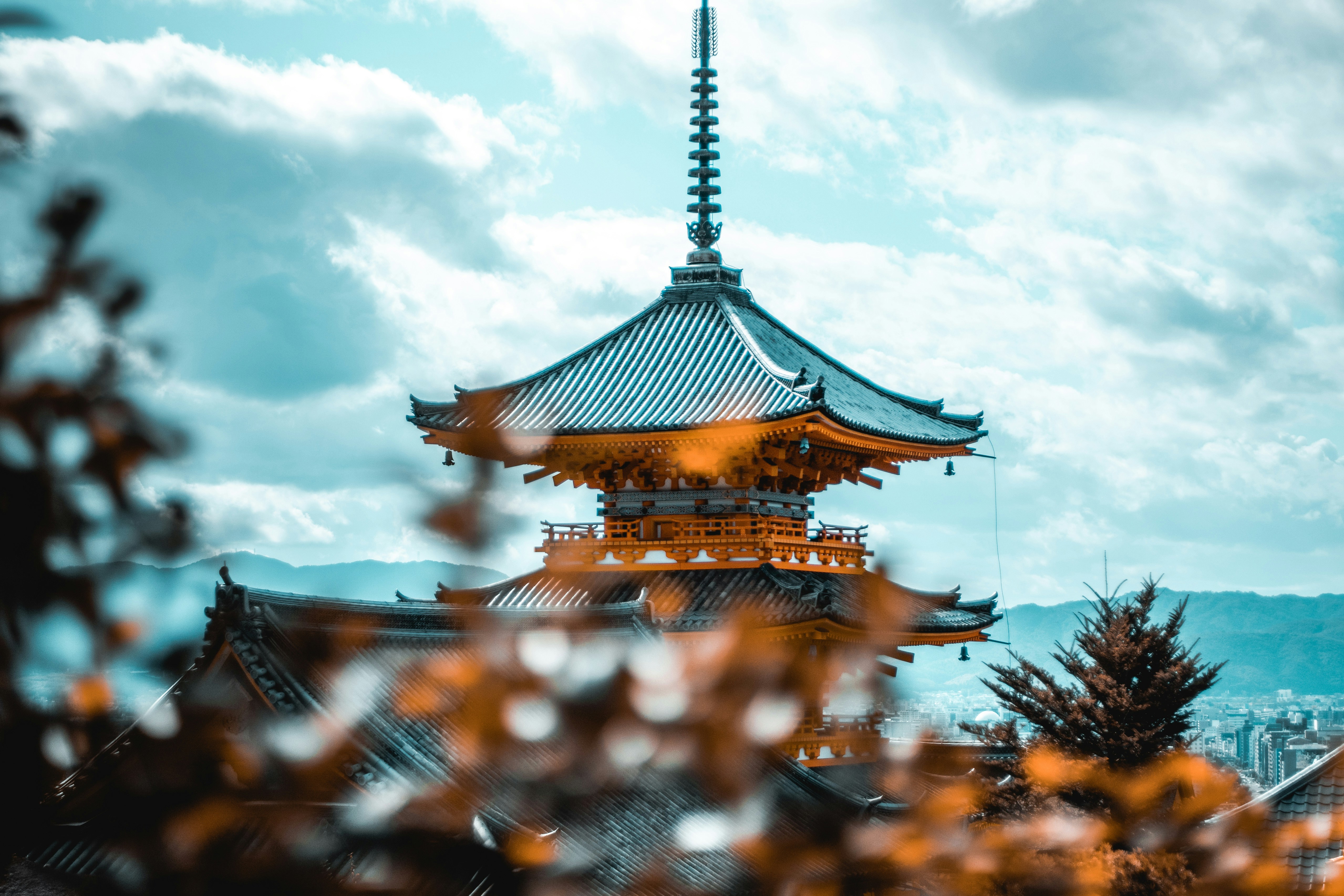 Photo by cosmingeorgian