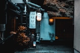 A quiet alleyway lined with lanterns and wooden shops in a small Japanese town.