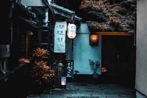 A quiet alleyway lined with lanterns and wooden shops in a small Japanese town.