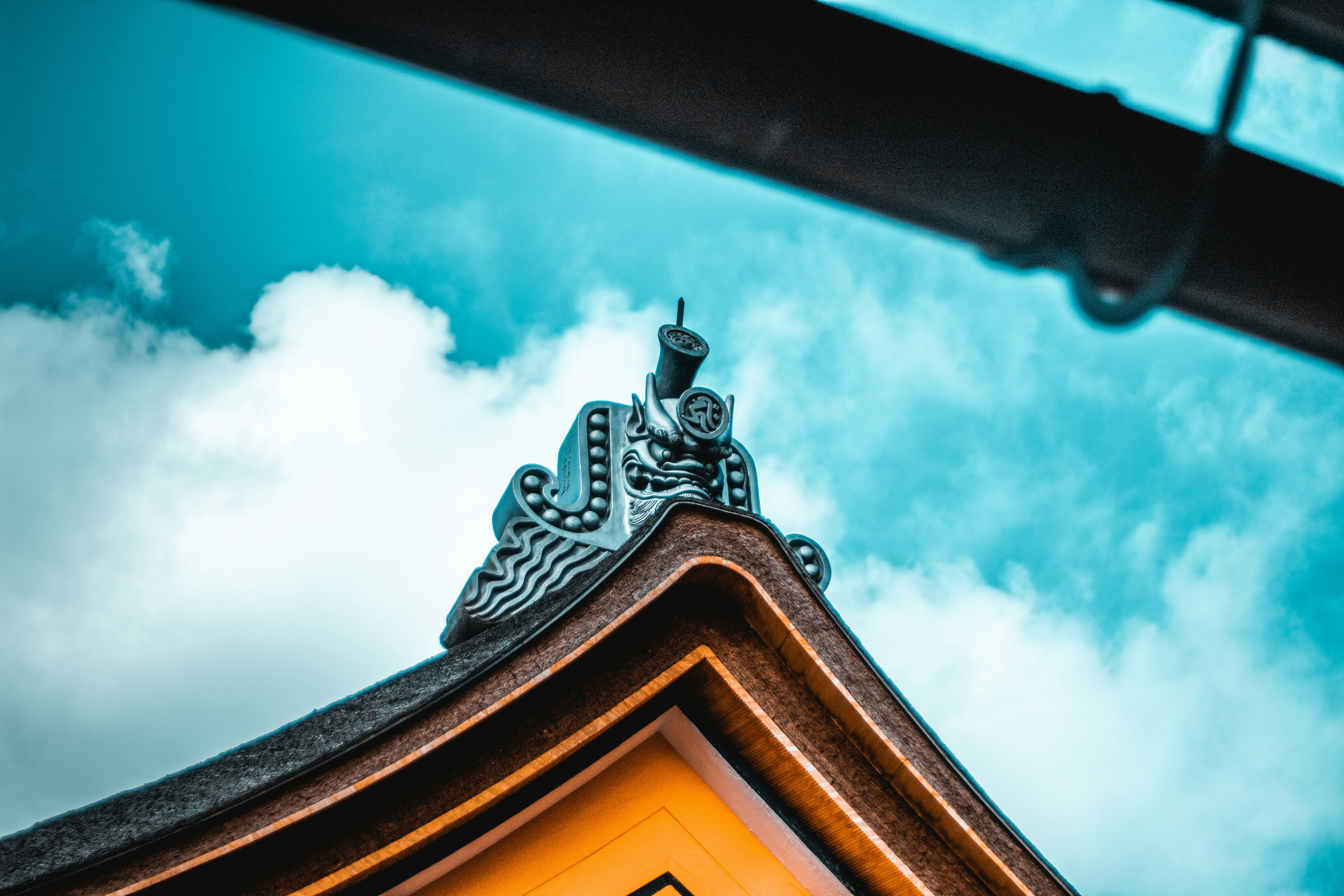 Photo by cosmingeorgian