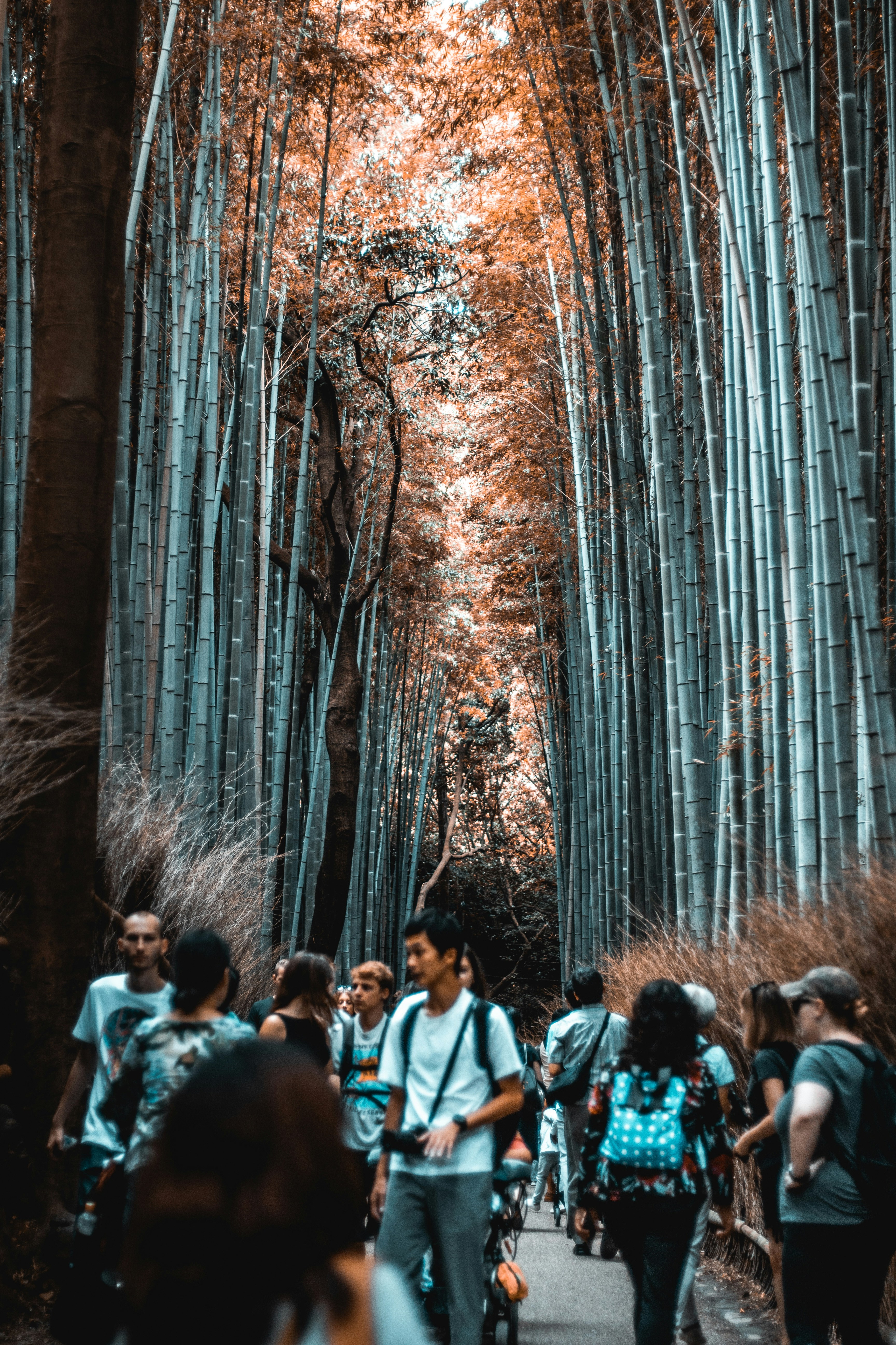 Photo by cosmingeorgian