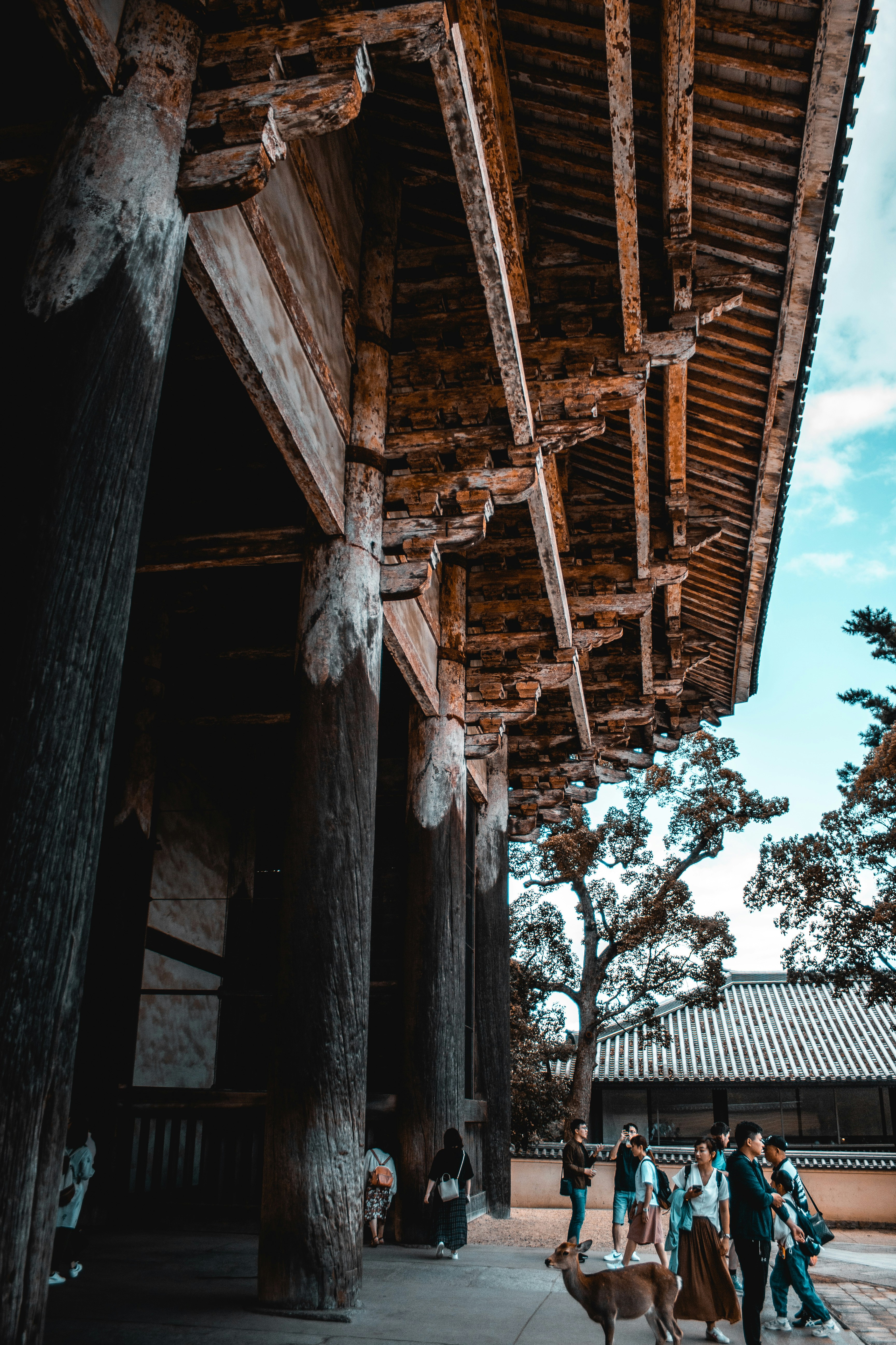 Photo by cosmingeorgian