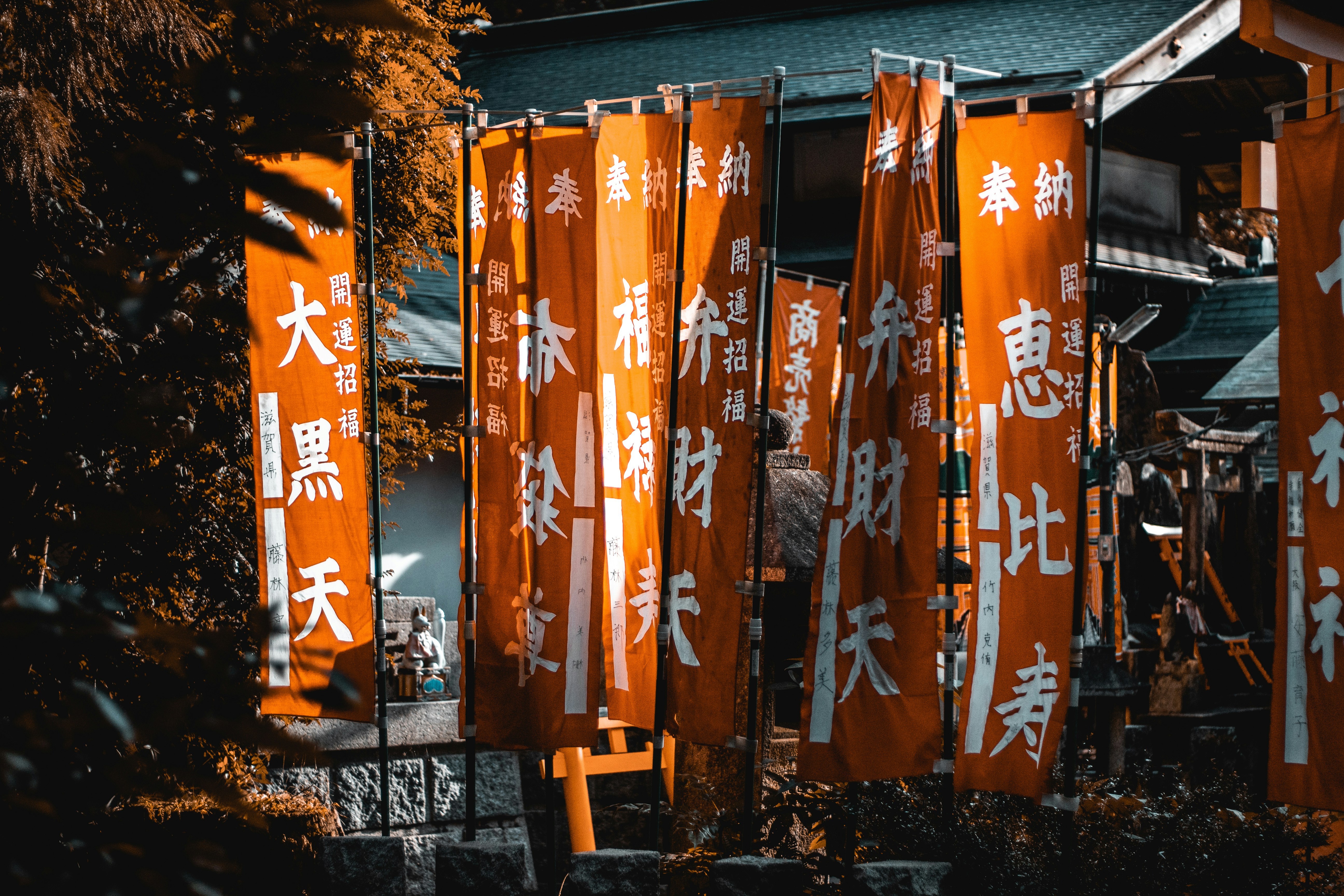 Photo by cosmingeorgian