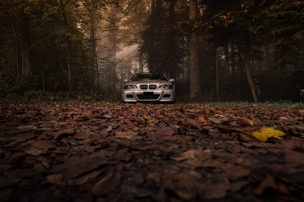 silver BMW parked between trees