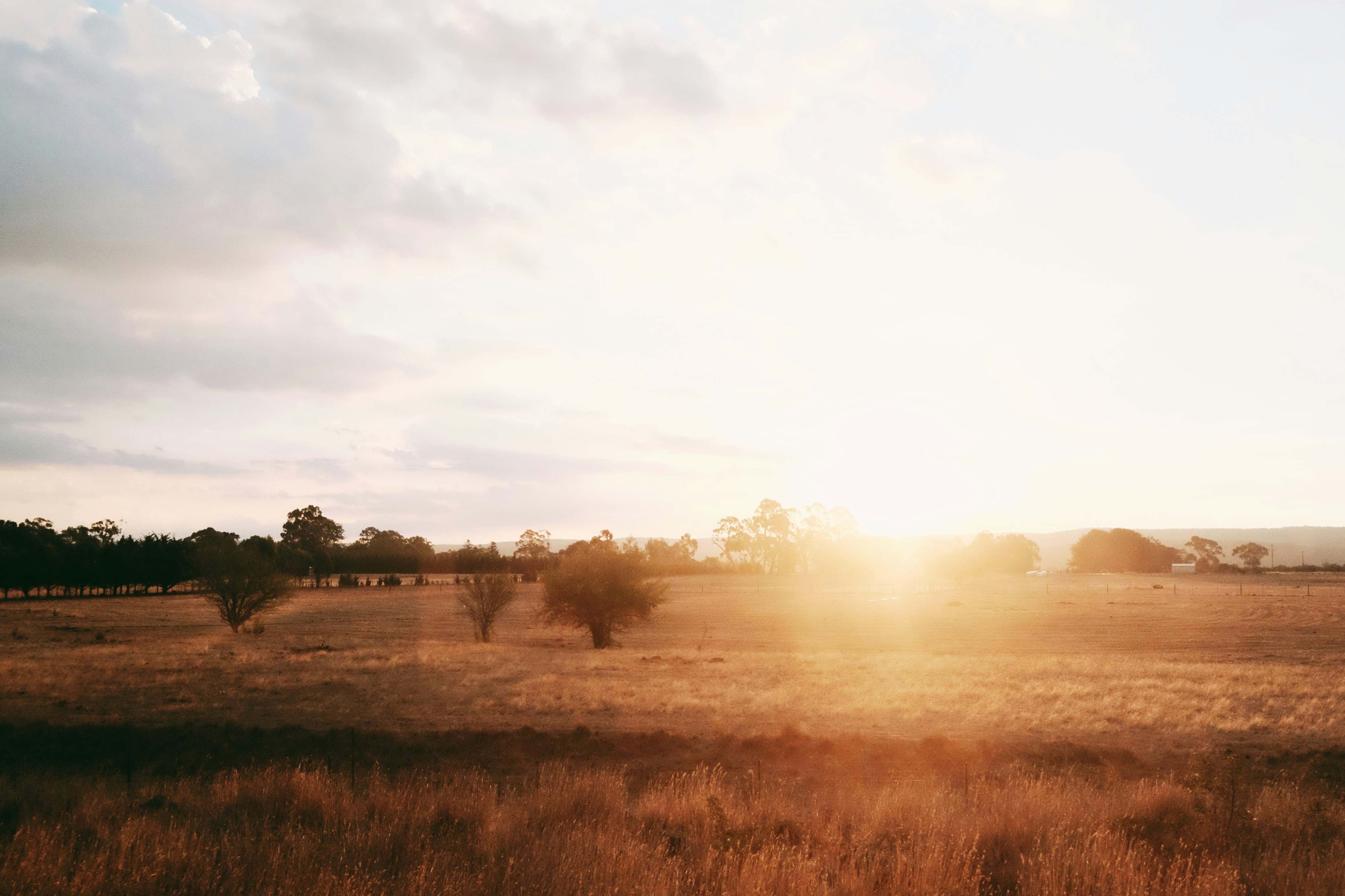 Photo by minhnguyen48