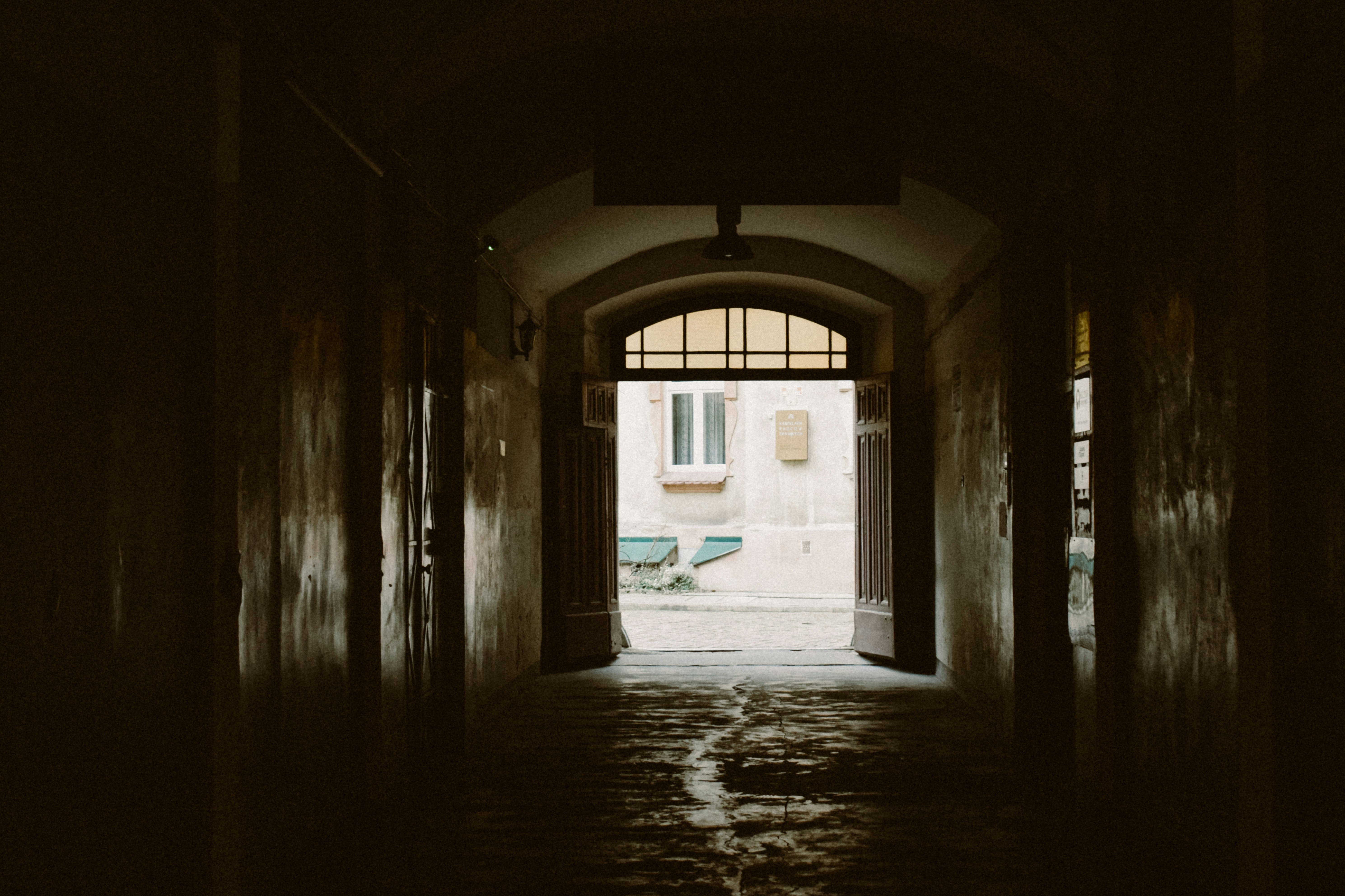 Photo by darya_tryfanava