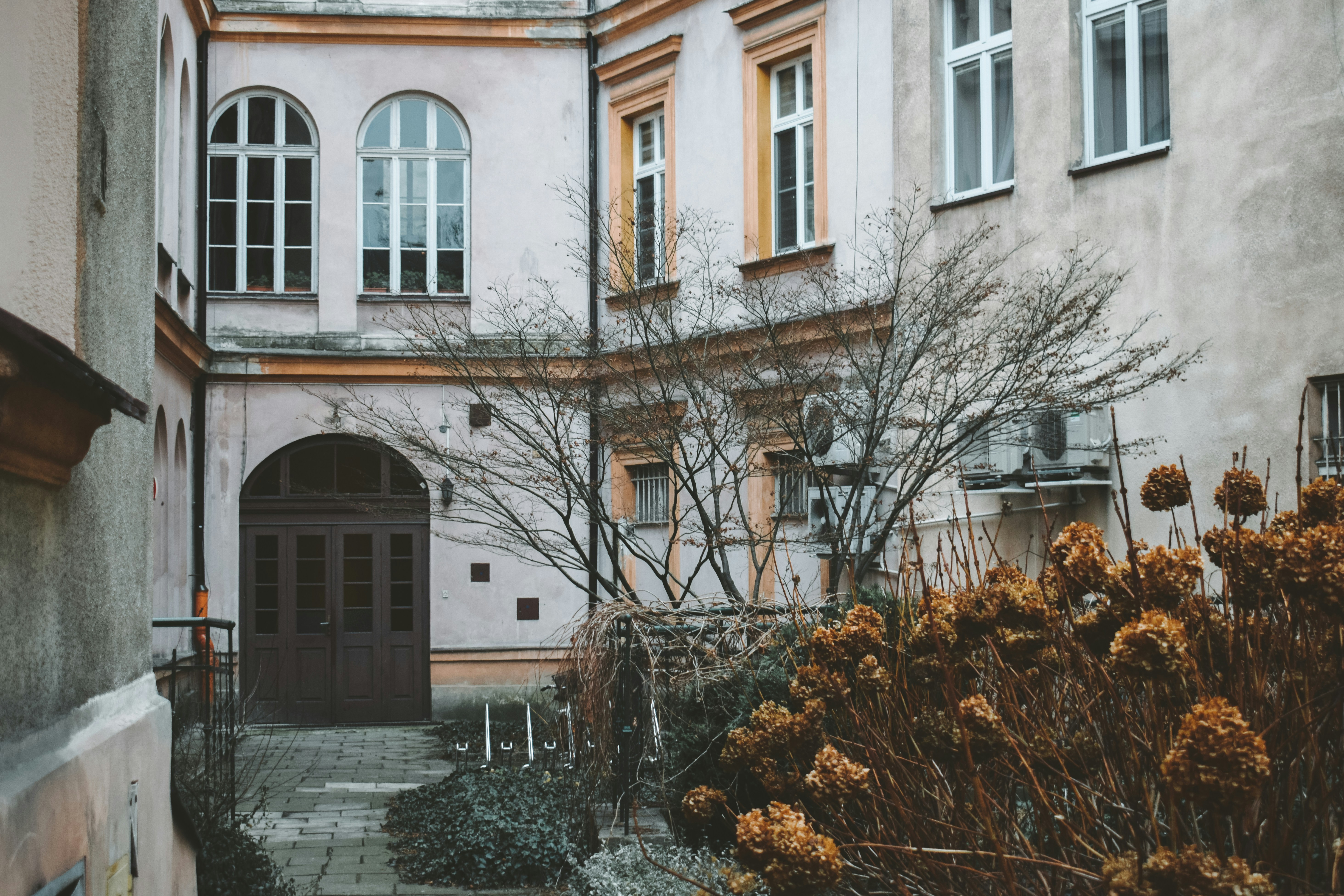 Photo by darya_tryfanava