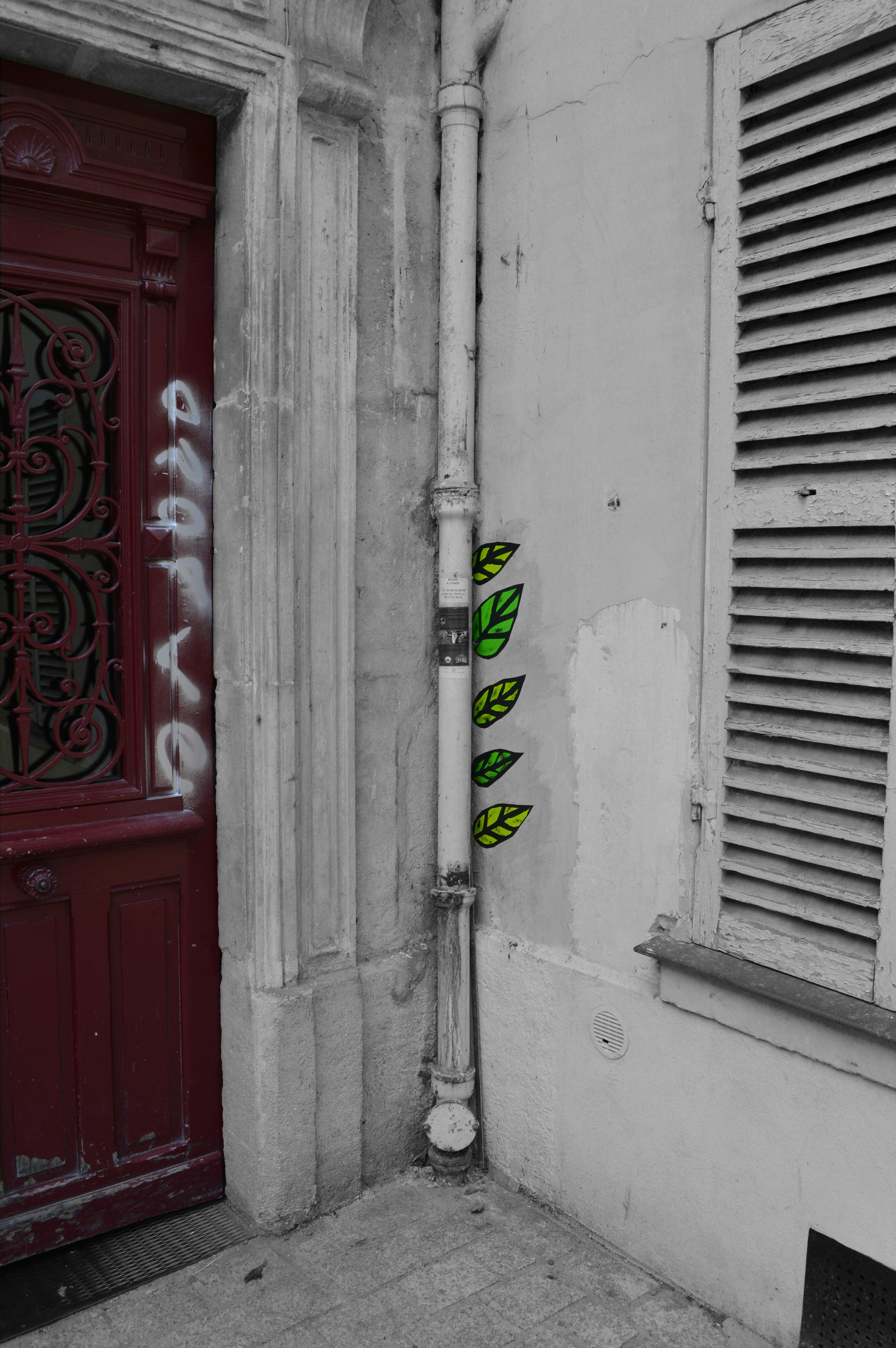 Puertas Antiokupa de Calidad