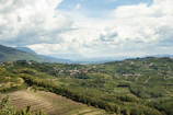 A scenic view of the lush green fields of Pangalengan with mountains in the background.