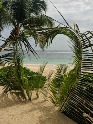 A close-up of tropical flowers framing a peaceful beach scene with soft white sand.