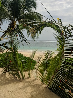 A tropical beach scene with palm trees framing a view of the ocean. The sand is a soft beige, with lush green foliage and colorful flowers decorating the leaves. The water is a gradient of blue, and the sky appears cloudy, creating a serene atmosphere.