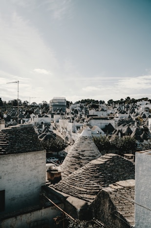 A panoramic view of a Druze village showcasing its unique architecture and natural surroundings.
