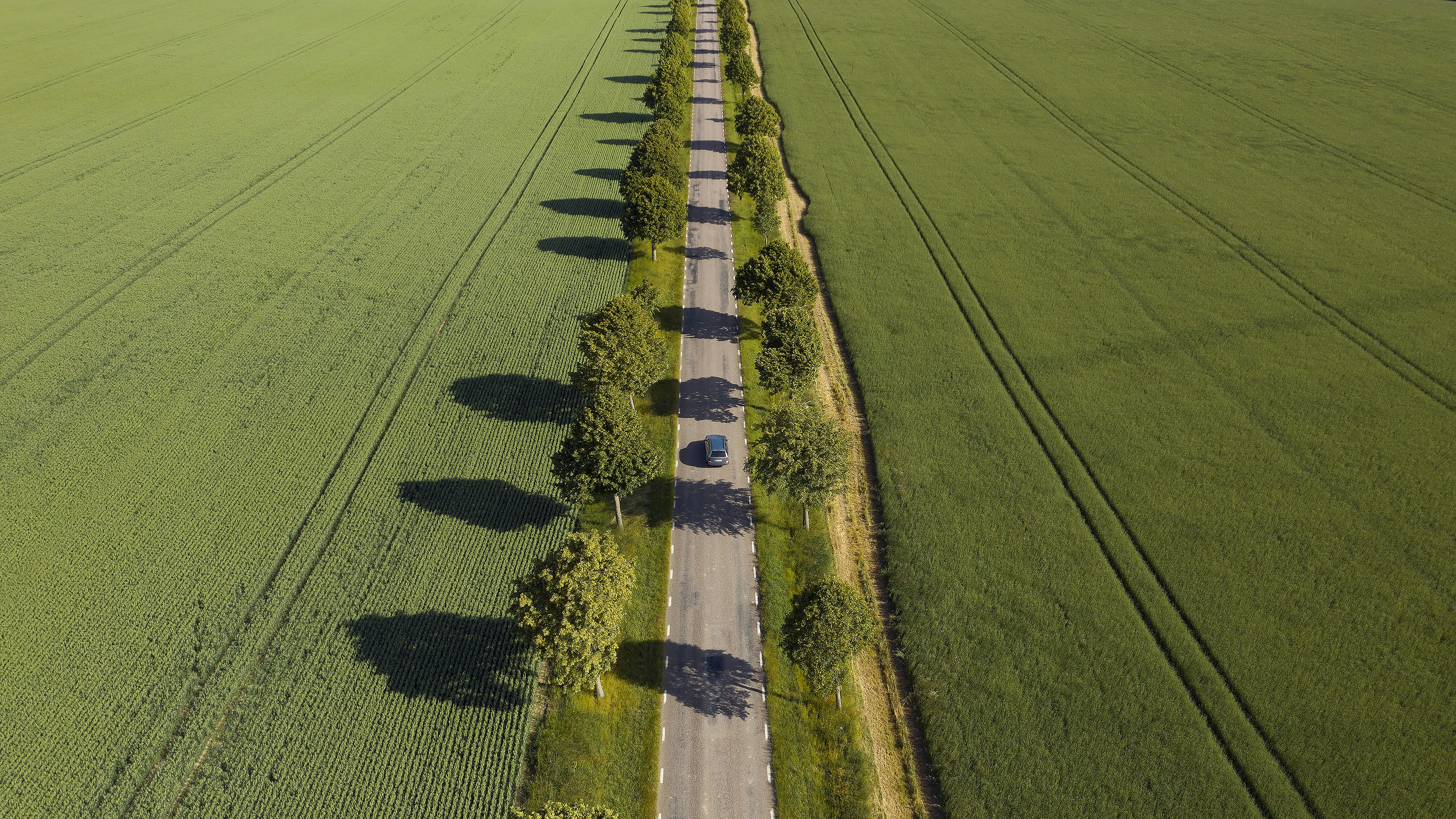 green grass field photograph